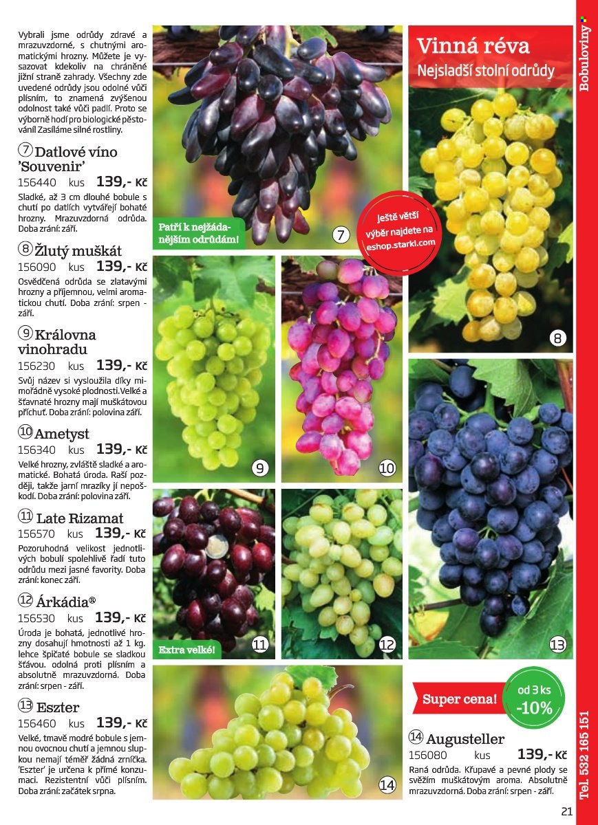 Leták Starkl. Strana 21