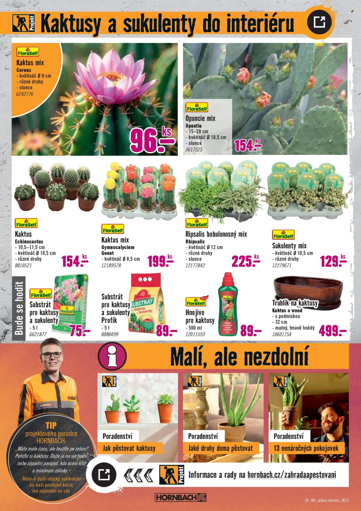 Leták HORNBACH - 6.8.2025 - 20.8.2025. Strana 6