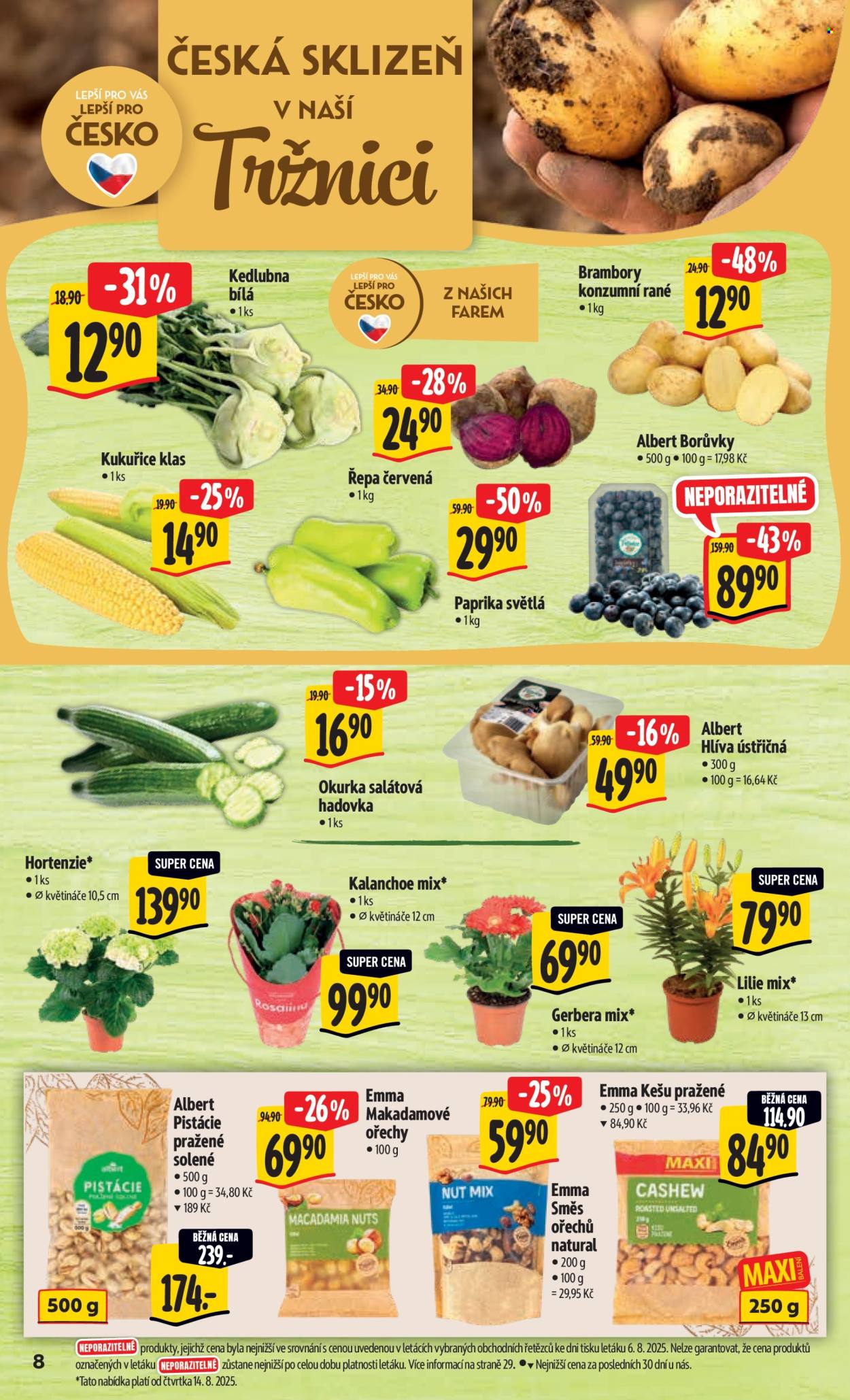 Leták Albert Hypermarket - 13.8.2025 - 19.8.2025. Strana 13
