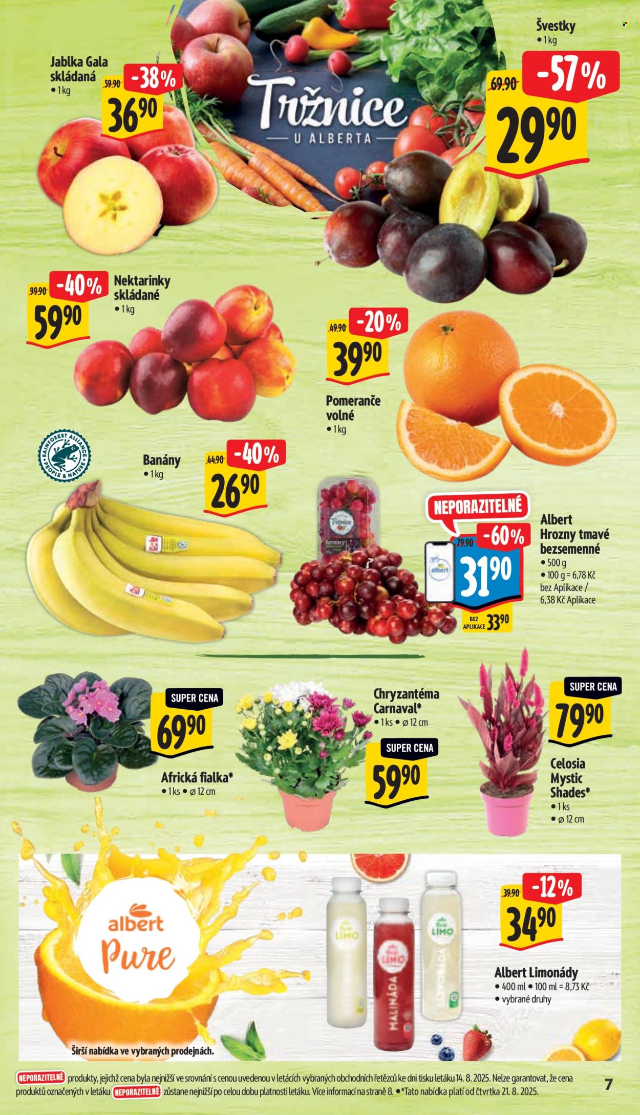 Leták Albert Supermarket - 20.8.2025 - 26.8.2025. Strana 12