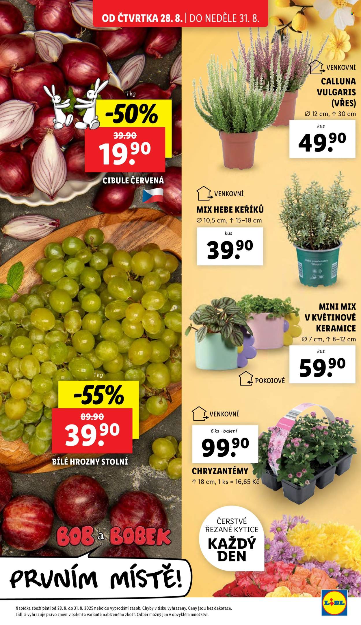 Leták Lidl - 28.8.2025 - 31.8.2025. Strana 9