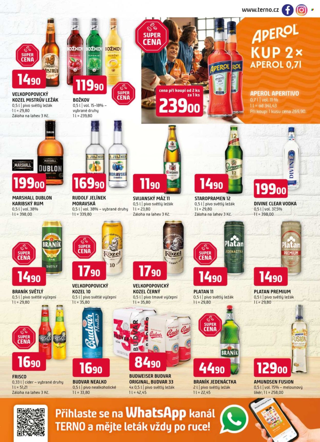 Leták coop TERNO - 3.9.2025 - 9.9.2025. Strana 13