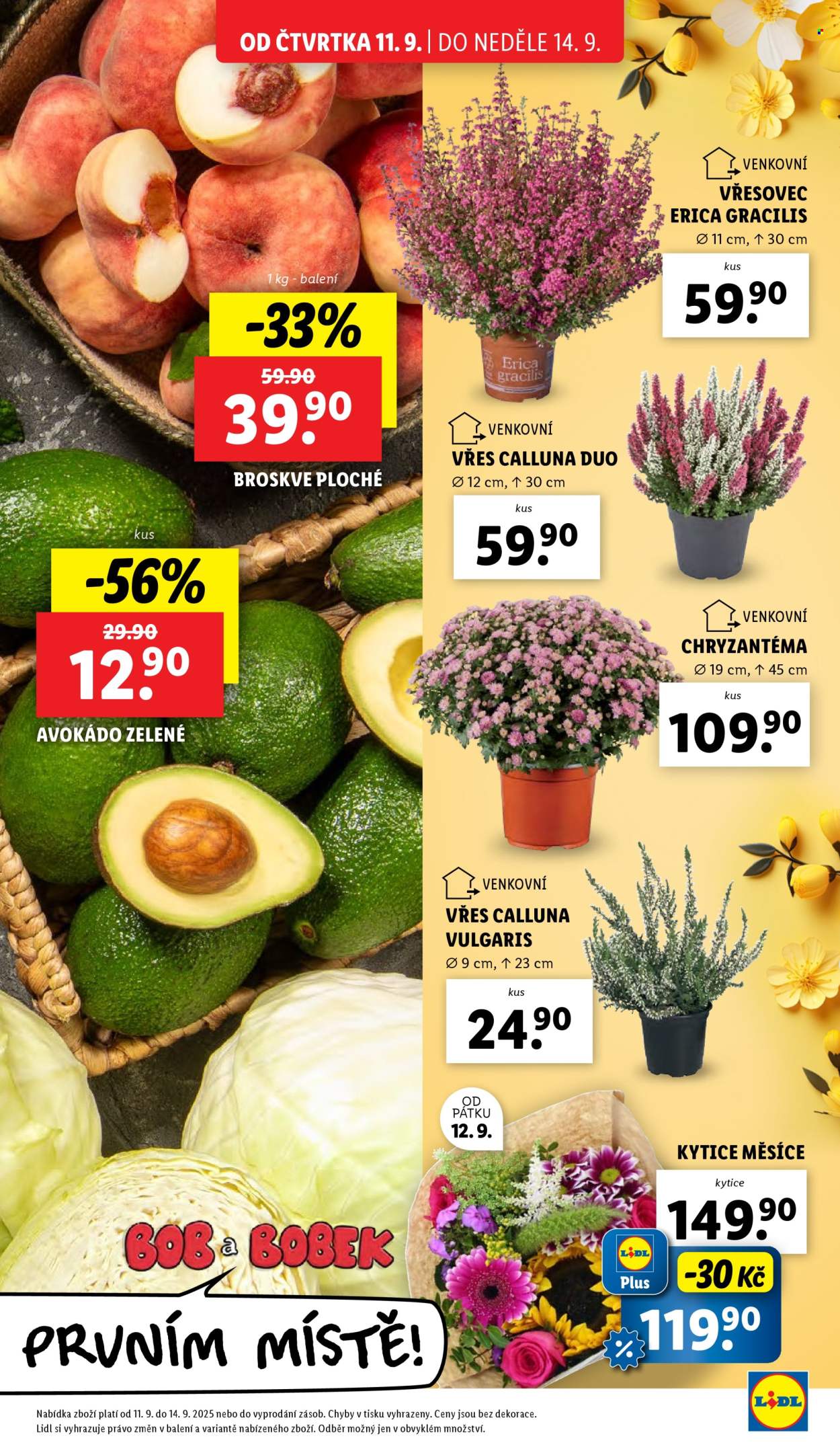 Leták Lidl - 11.9.2025 - 14.9.2025. Strana 13