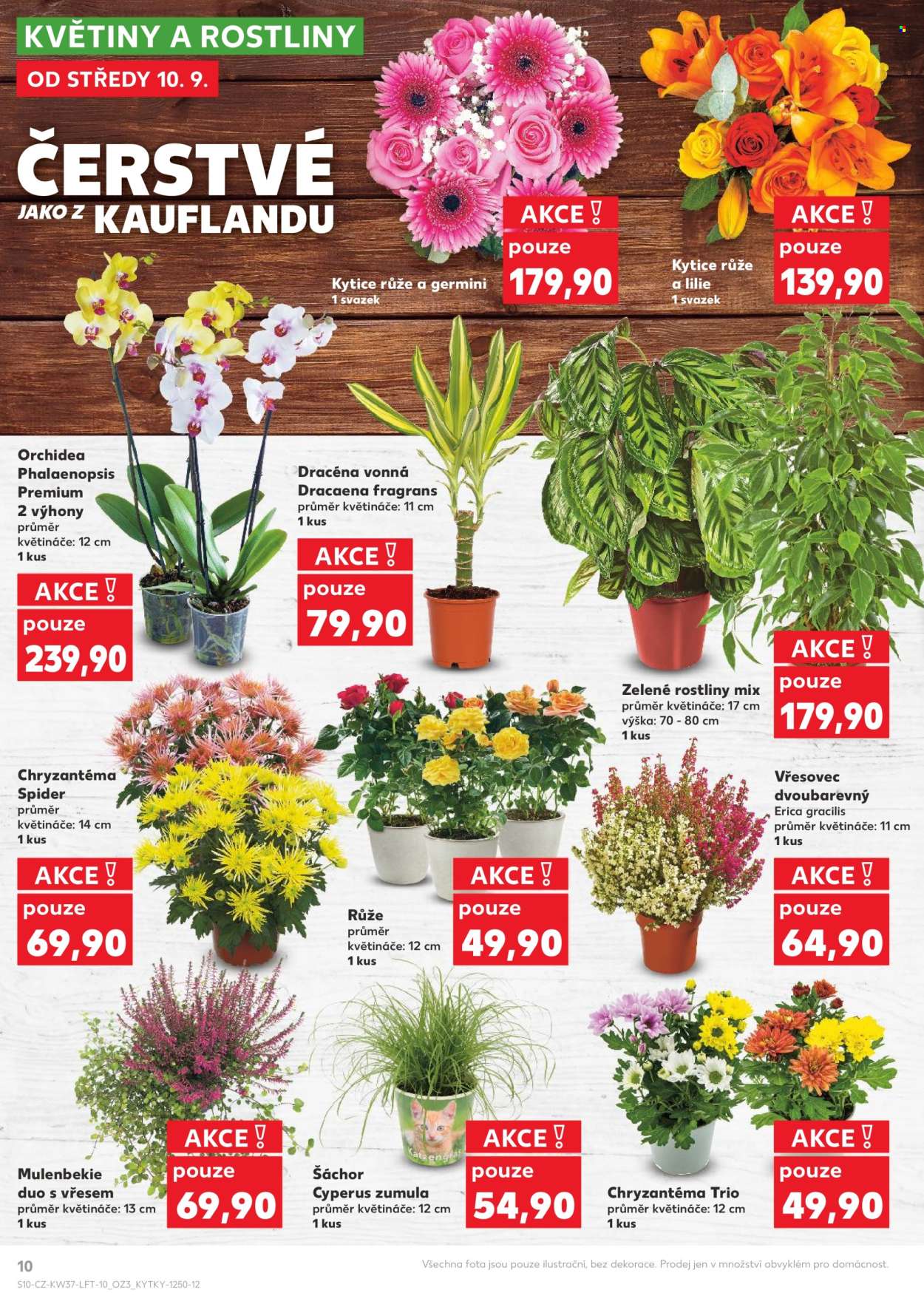 Leták Kaufland - 10.9.2025 - 16.9.2025. Strana 10