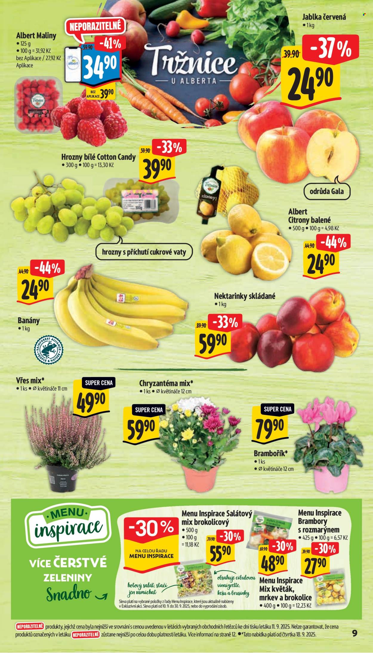 Leták Albert Supermarket - 17.9.2025 - 23.9.2025. Strana 14