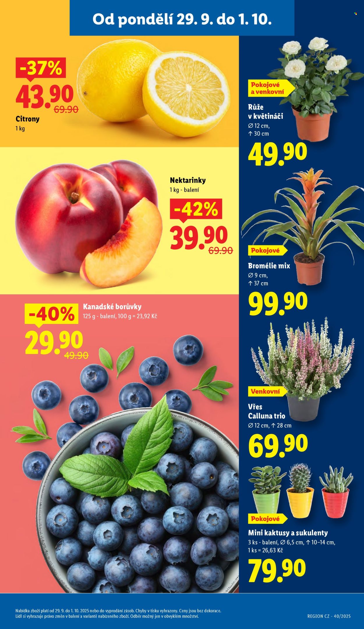 Leták Lidl - 29.9.2025 - 1.10.2025. Strana 9
