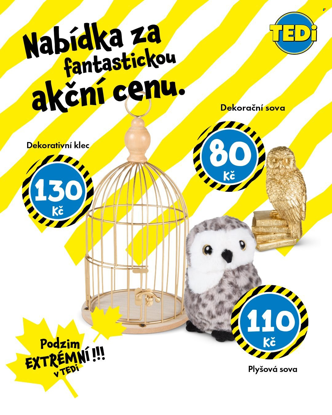 Leták TEDi. Strana 7
