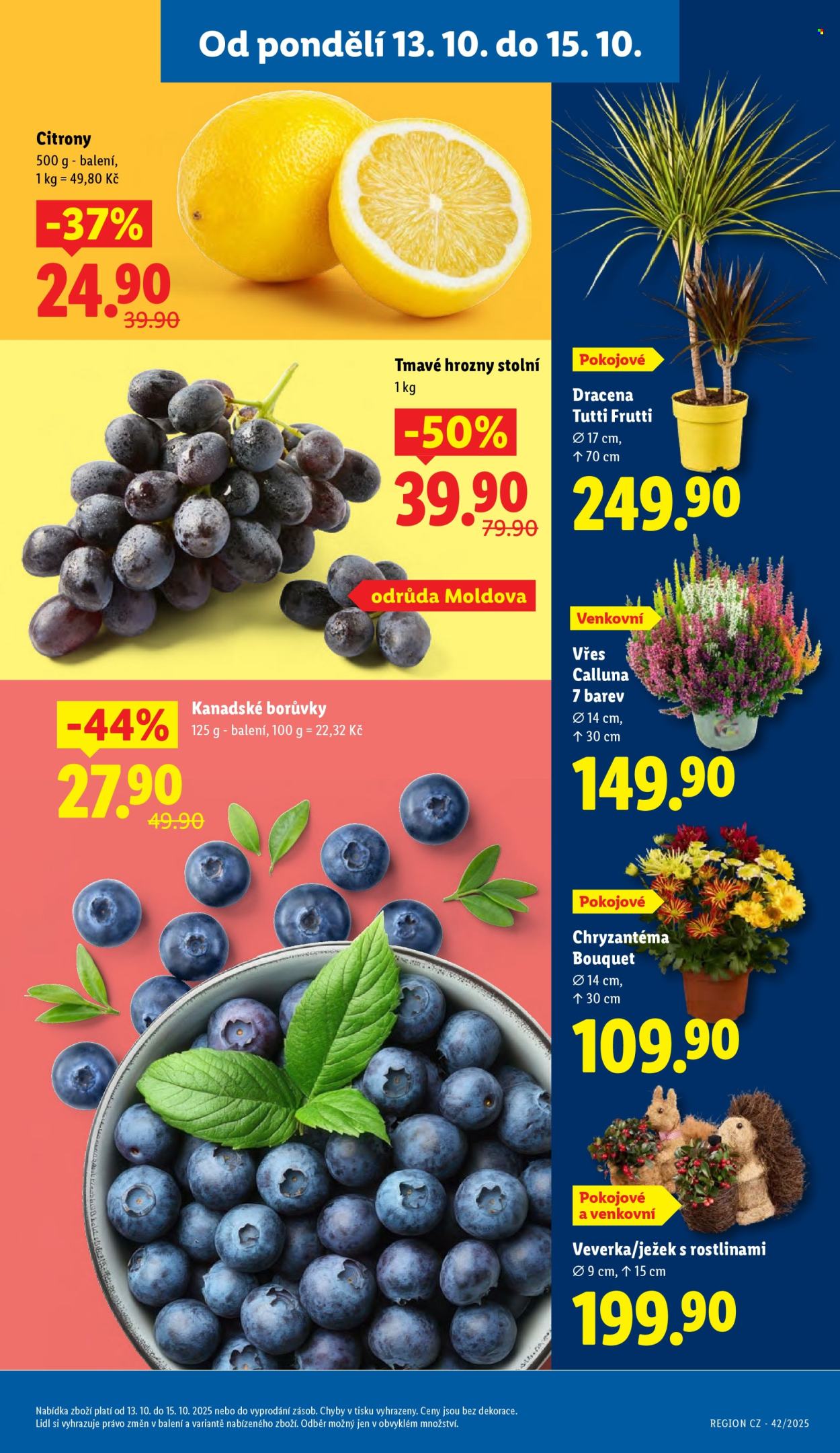 Leták Lidl - 13.10.2025 - 15.10.2025. Strana 9