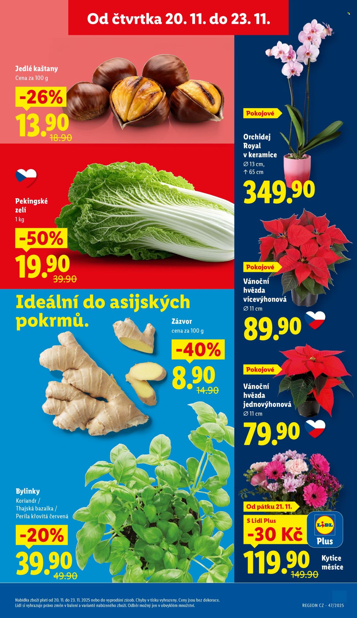 Leták Lidl - 20.11.2025 - 23.11.2025. Strana 11