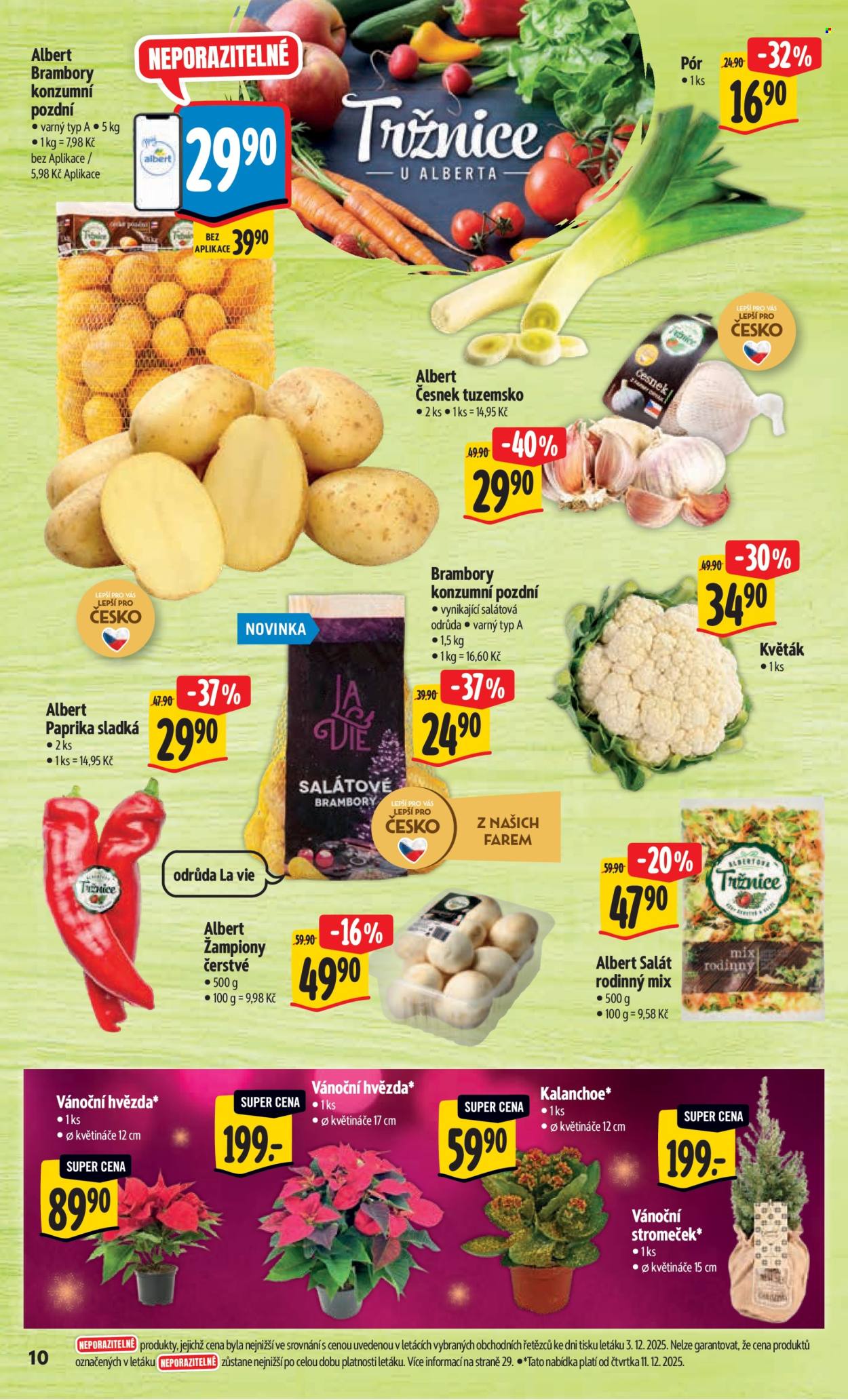 Leták Albert Hypermarket - 10.12.2025 - 16.12.2025. Strana 16