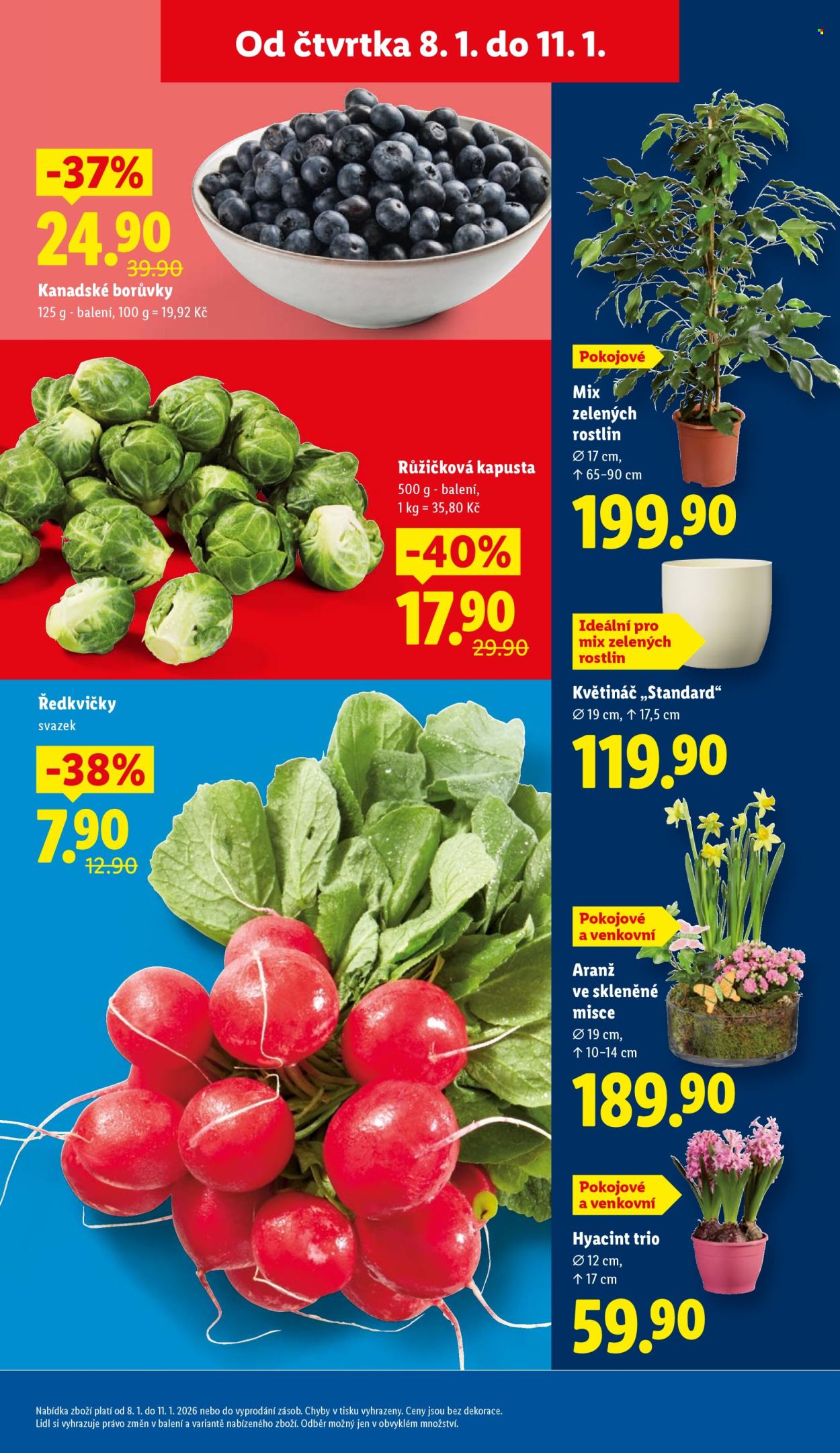 Leták Lidl - 8.1.2026 - 11.1.2026. Strana 9
