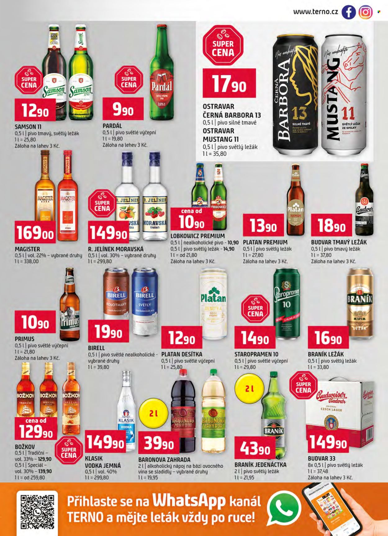 Leták coop TERNO - 2.1.2026 - 6.1.2026. Strana 13