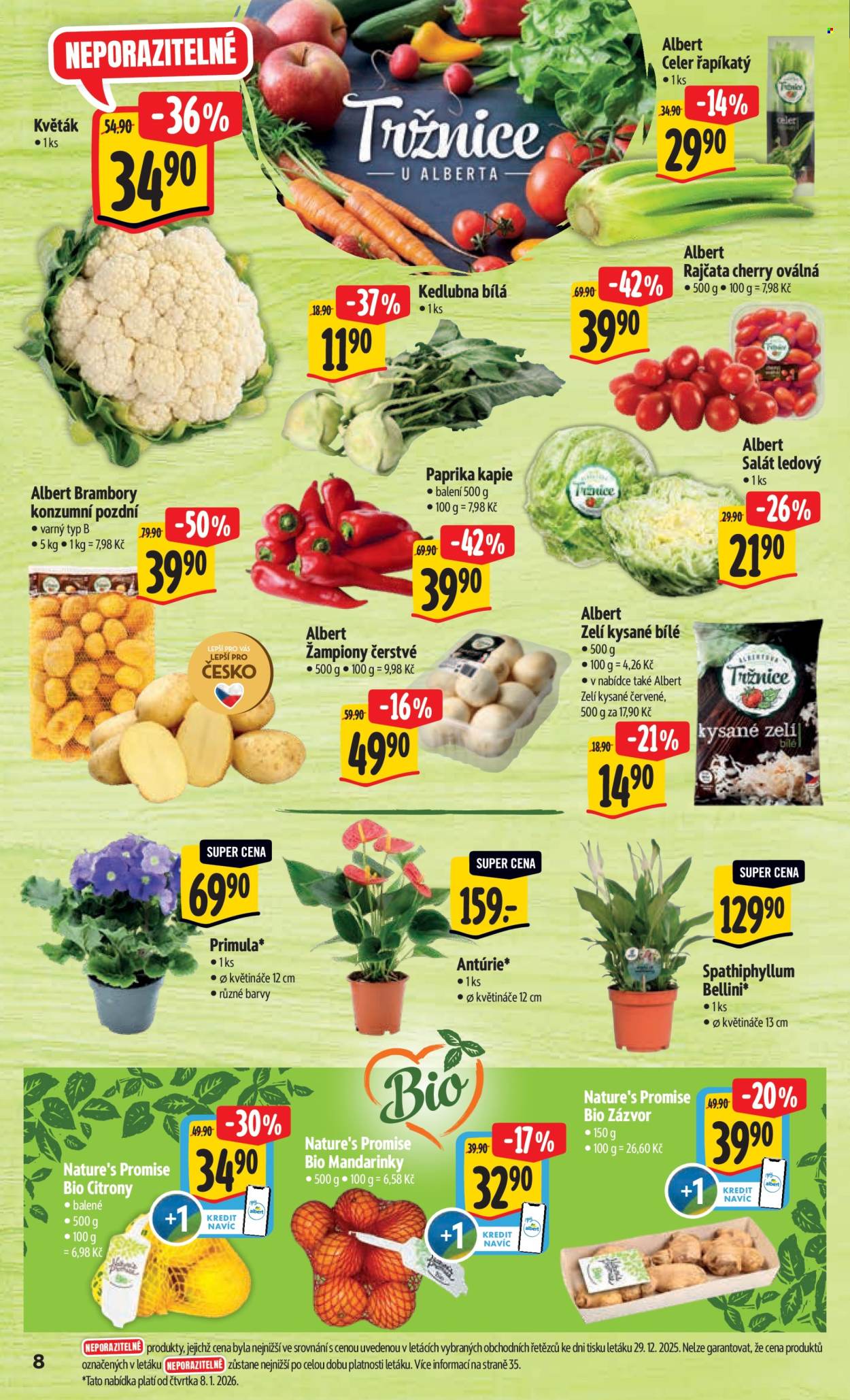 Leták Albert Hypermarket - 7.1.2026 - 13.1.2026. Strana 14