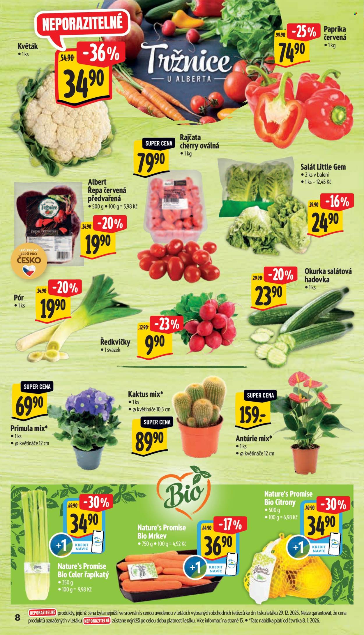 Leták Albert Supermarket - 7.1.2026 - 13.1.2026. Strana 13