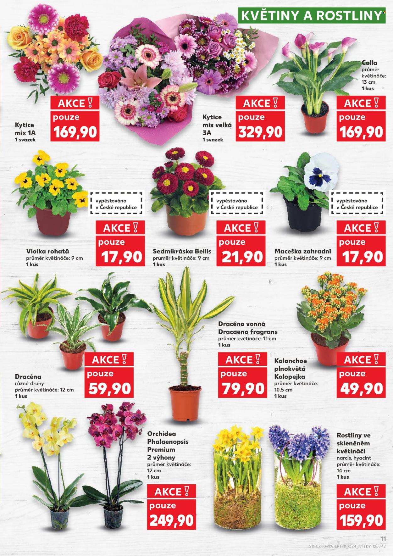 Leták Kaufland - 25.2.2026 - 3.3.2026. Strana 11