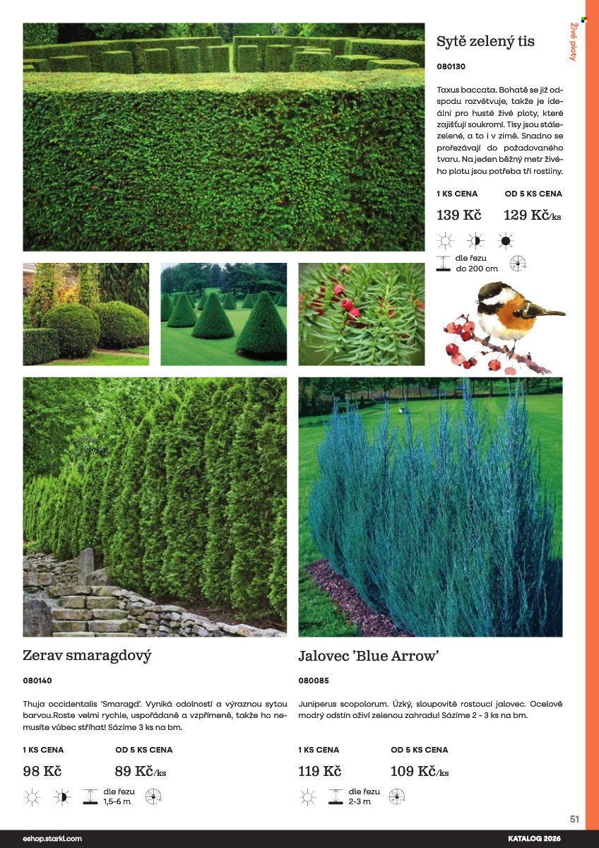 Leták Starkl. Strana 51
