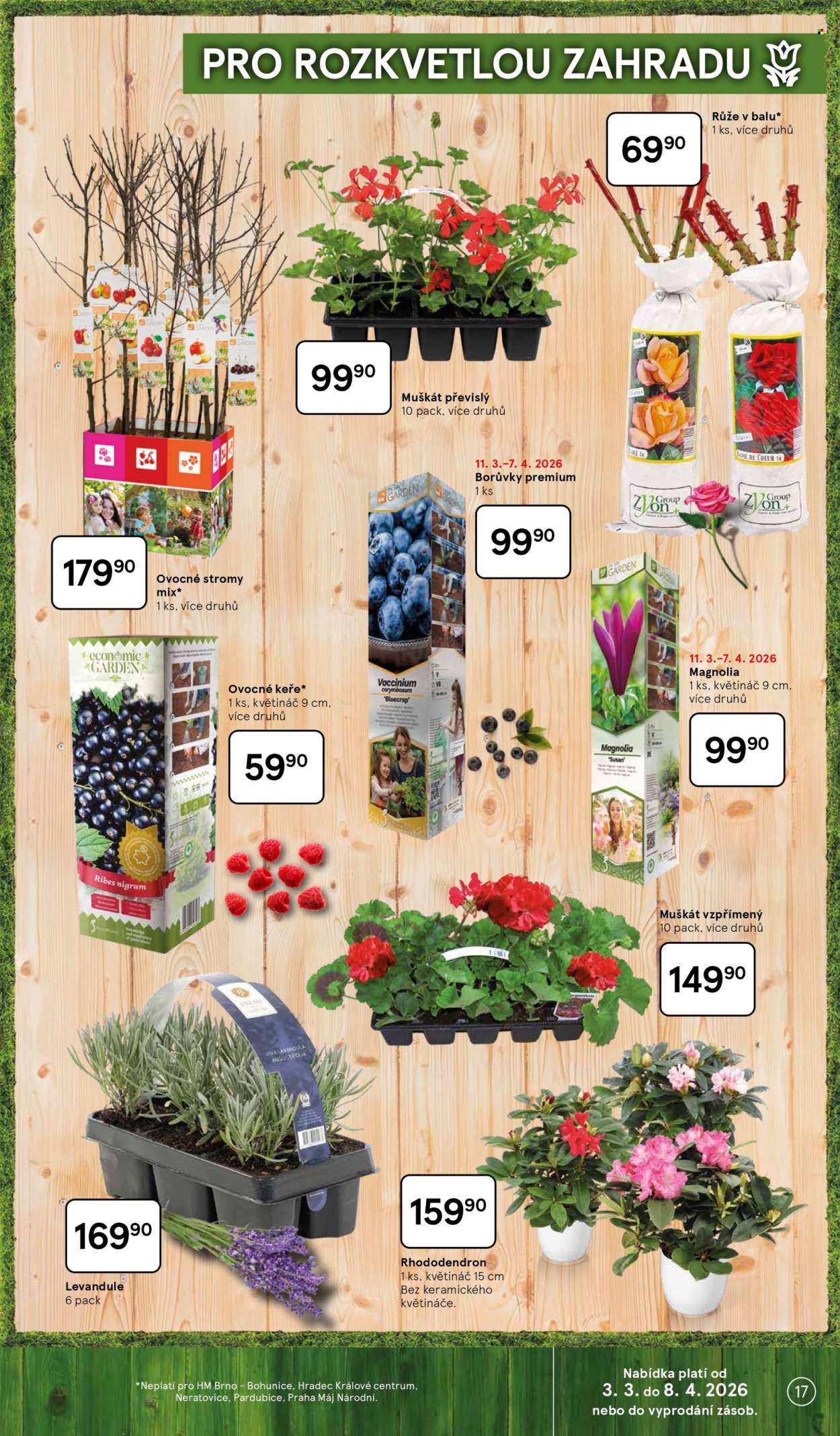 Leták TESCO hypermarket - 3.3.2026 - 8.4.2026. Strana 17