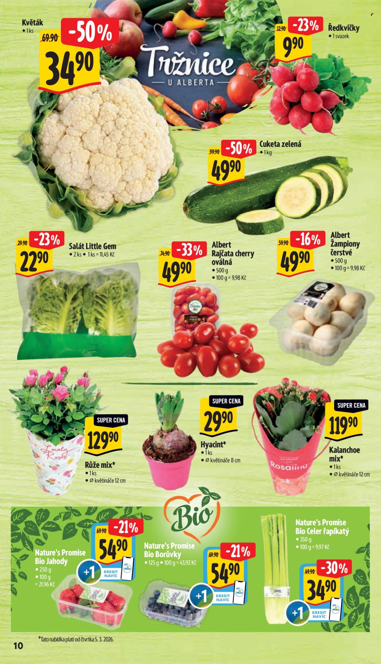 Leták Albert Supermarket - 4.3.2026 - 10.3.2026. Strana 16