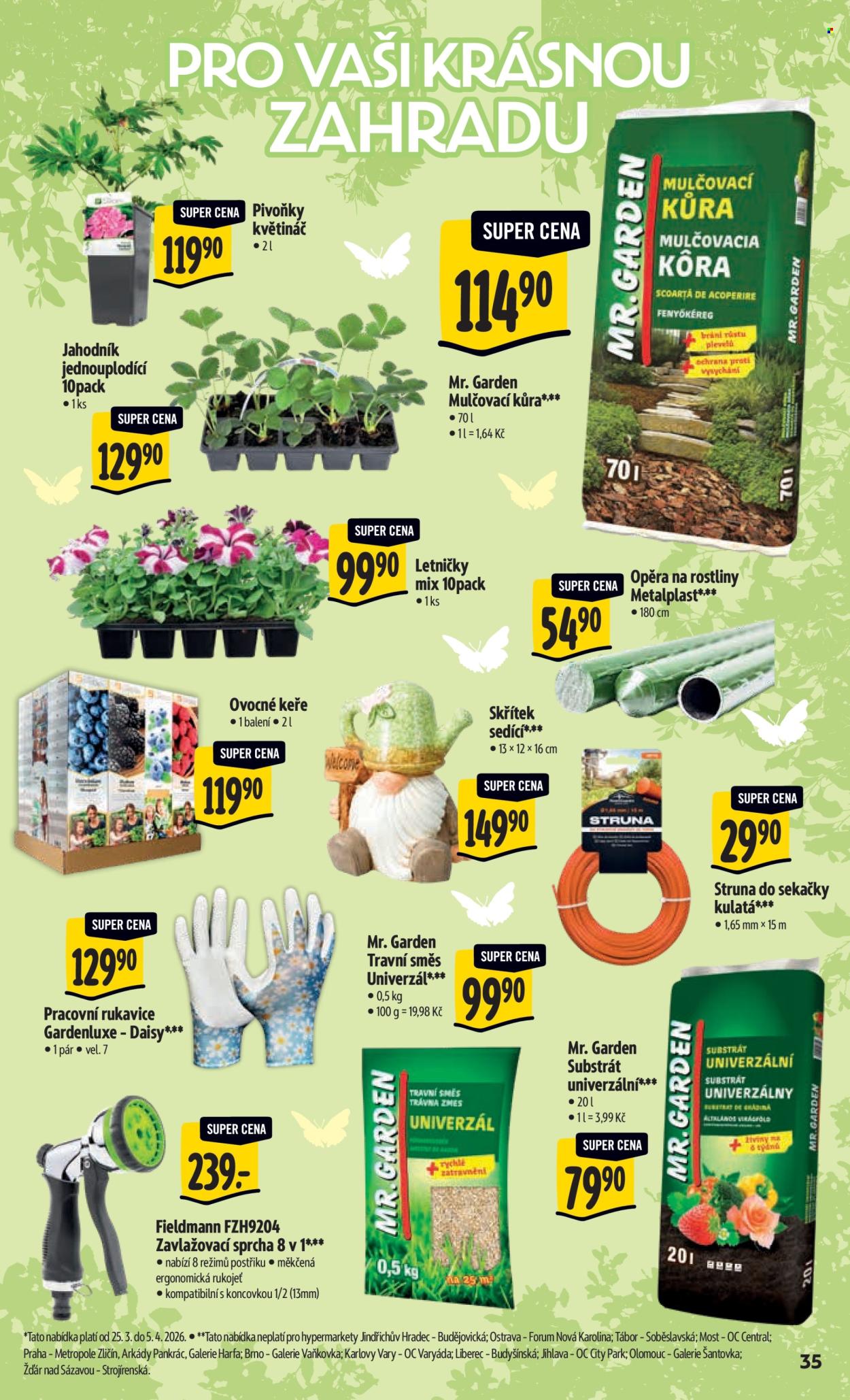 Leták Albert Hypermarket - 25.3.2026 - 31.3.2026. Strana 43