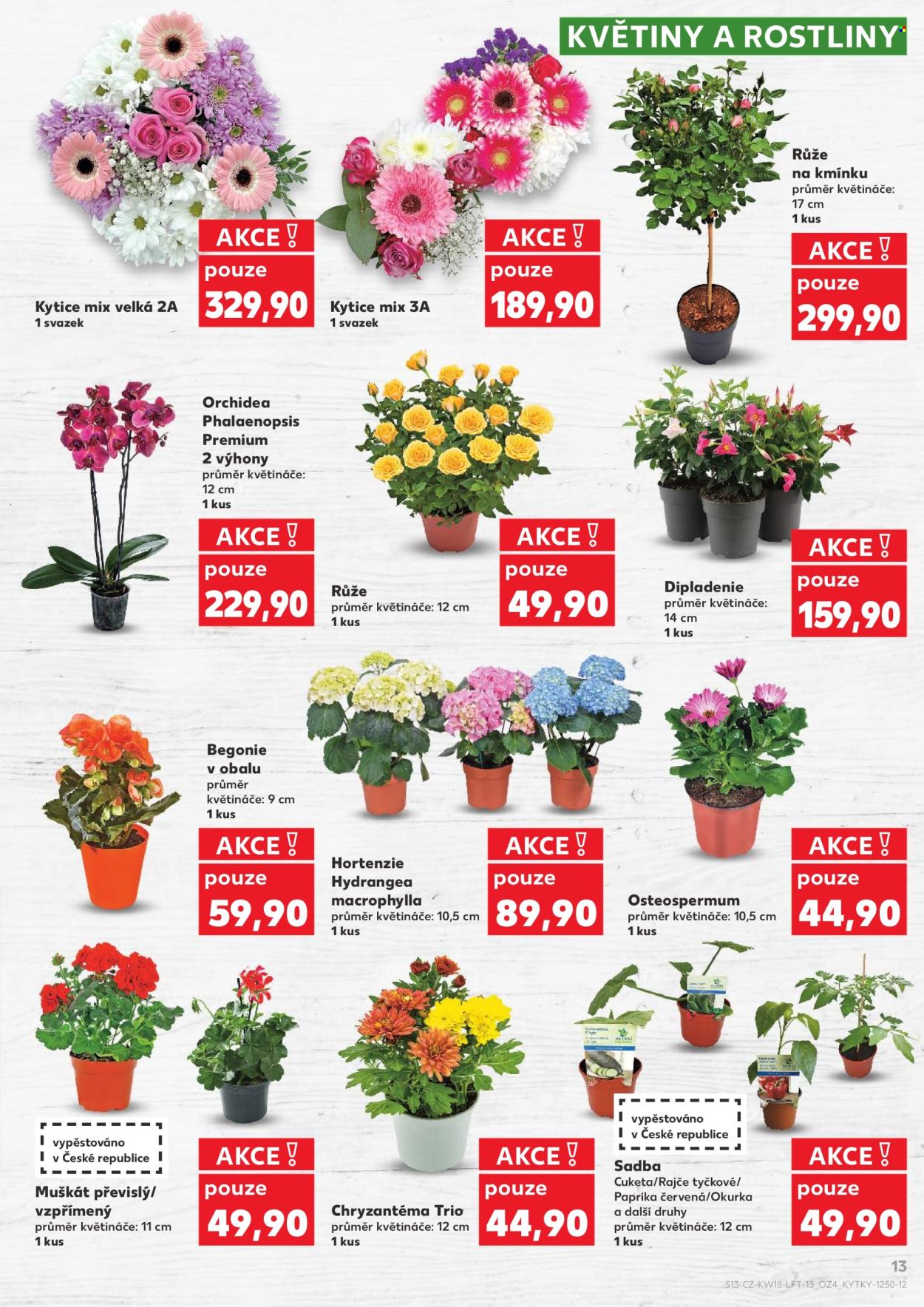 Leták Kaufland - 29.4.2026 - 5.5.2026. Strana 13