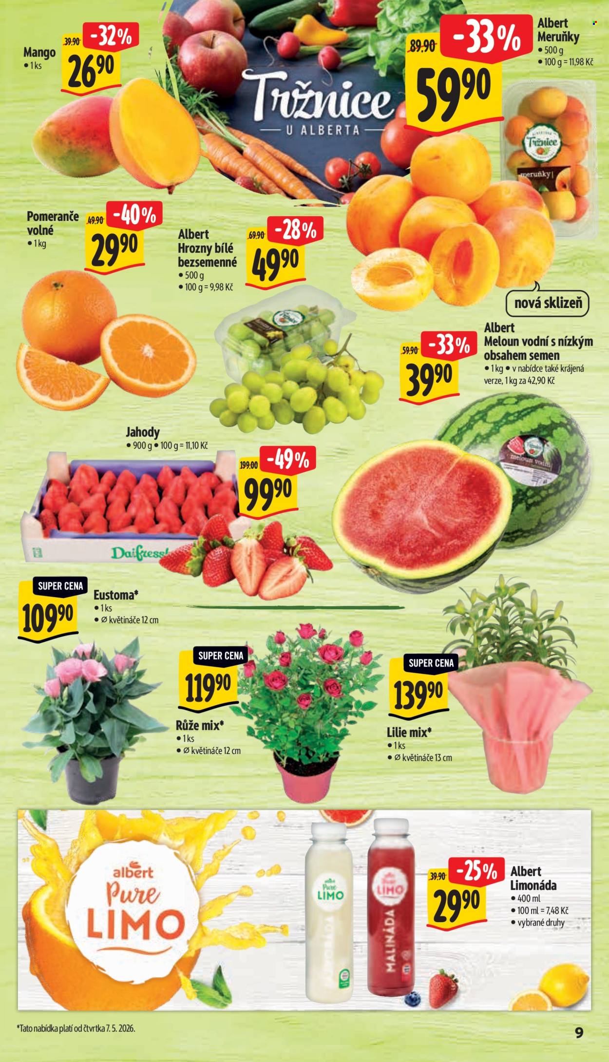 Leták Albert Supermarket - 6.5.2026 - 12.5.2026. Strana 15