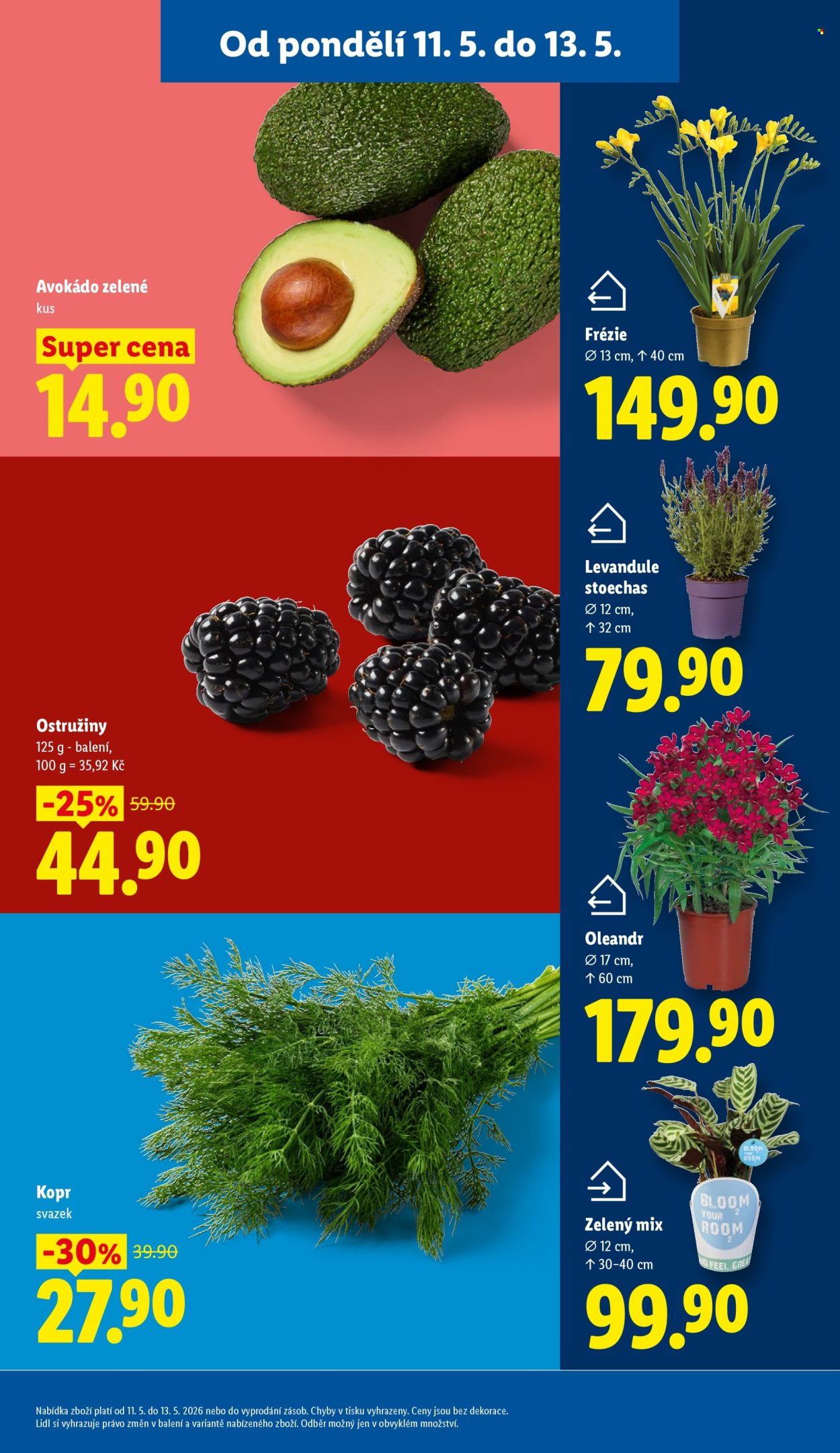 Leták Lidl - 11.5.2026 - 13.5.2026. Strana 11