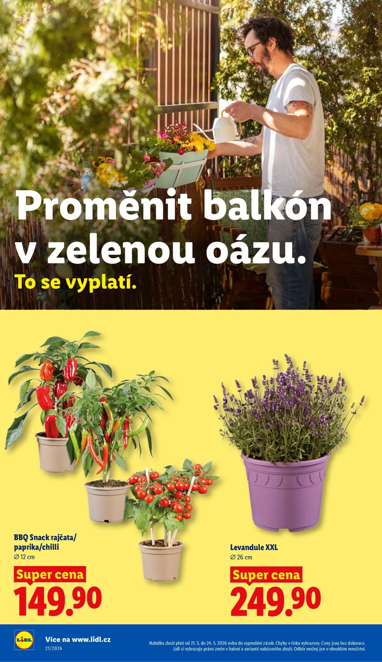 Leták Lidl - 21.5.2026 - 24.5.2026. Strana 34