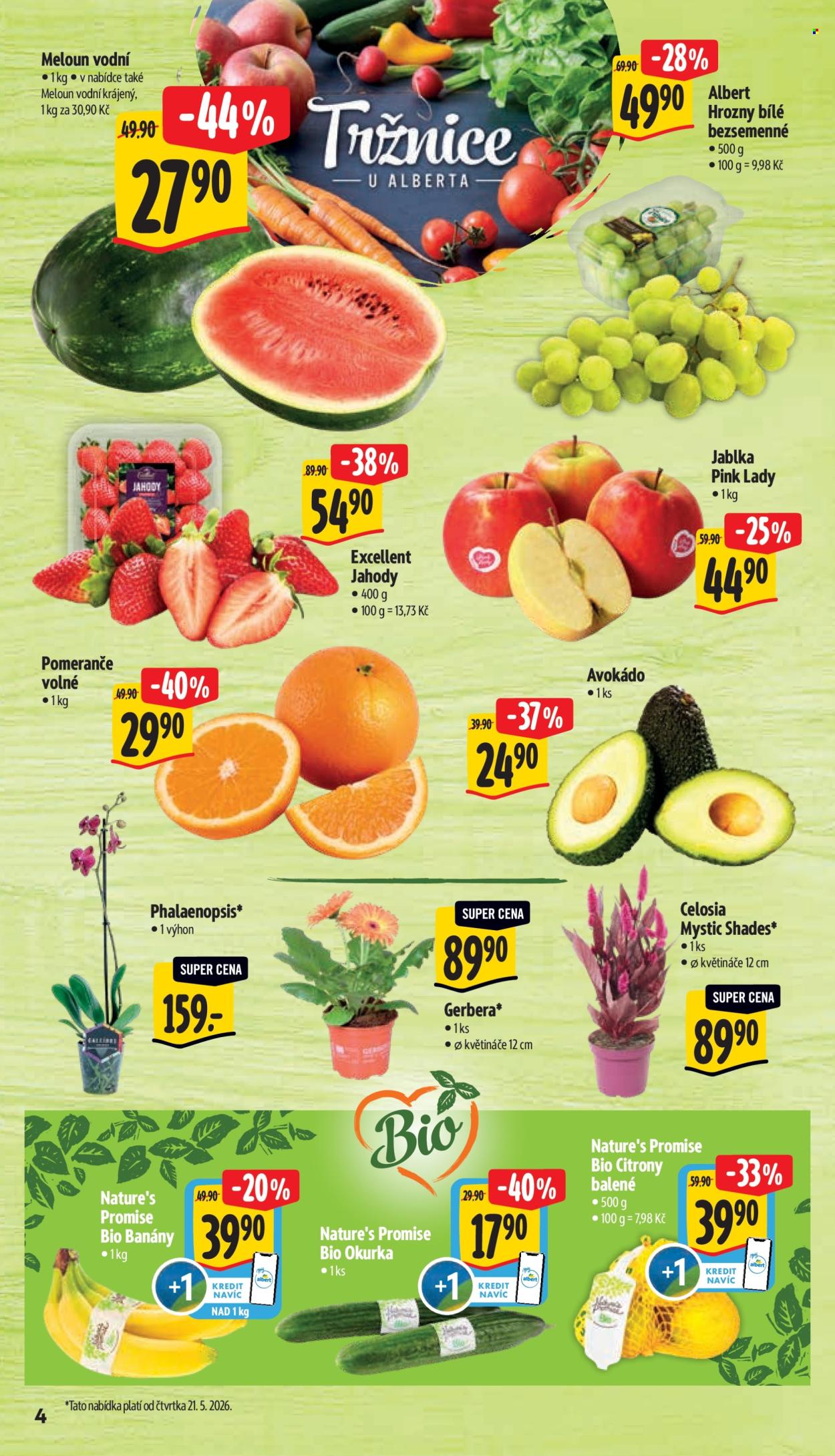 Leták Albert Hypermarket - 20.5.2026 - 26.5.2026. Strana 10