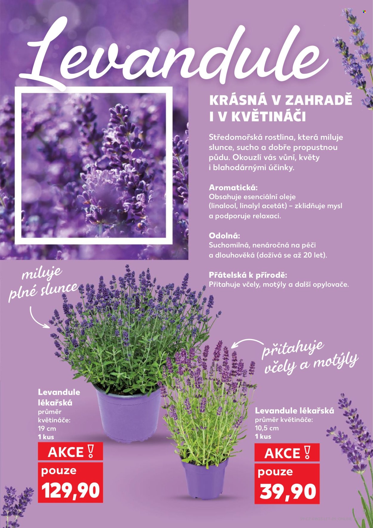 Leták Kaufland - 3.6.2026 - 9.6.2026. Strana 9