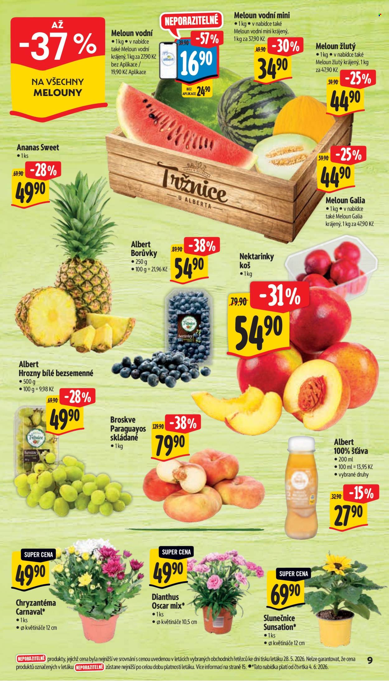 Leták Albert Supermarket - 3.6.2026 - 9.6.2026. Strana 17