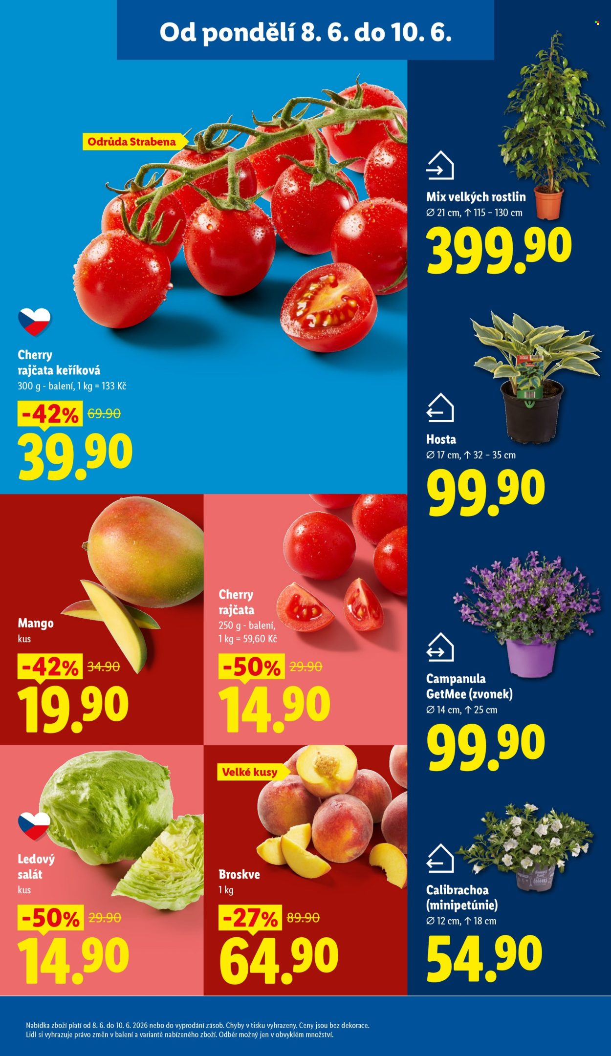 Leták Lidl - 8.6.2026 - 10.6.2026. Strana 13