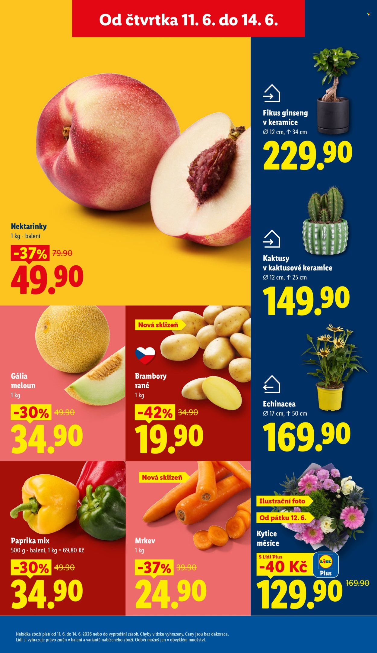 Leták Lidl - 11.6.2026 - 14.6.2026. Strana 13