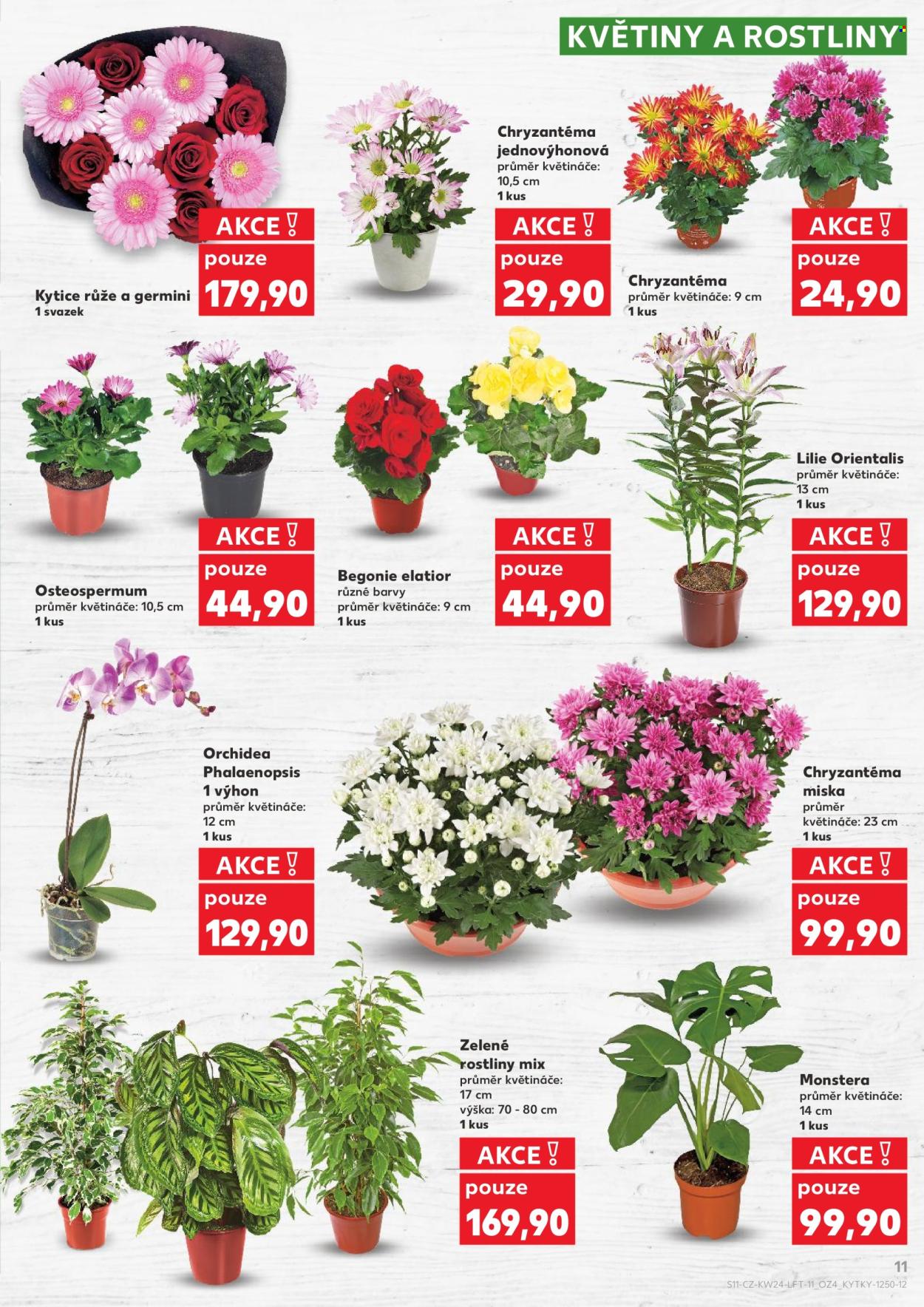 Leták Kaufland - 10.6.2026 - 16.6.2026. Strana 11