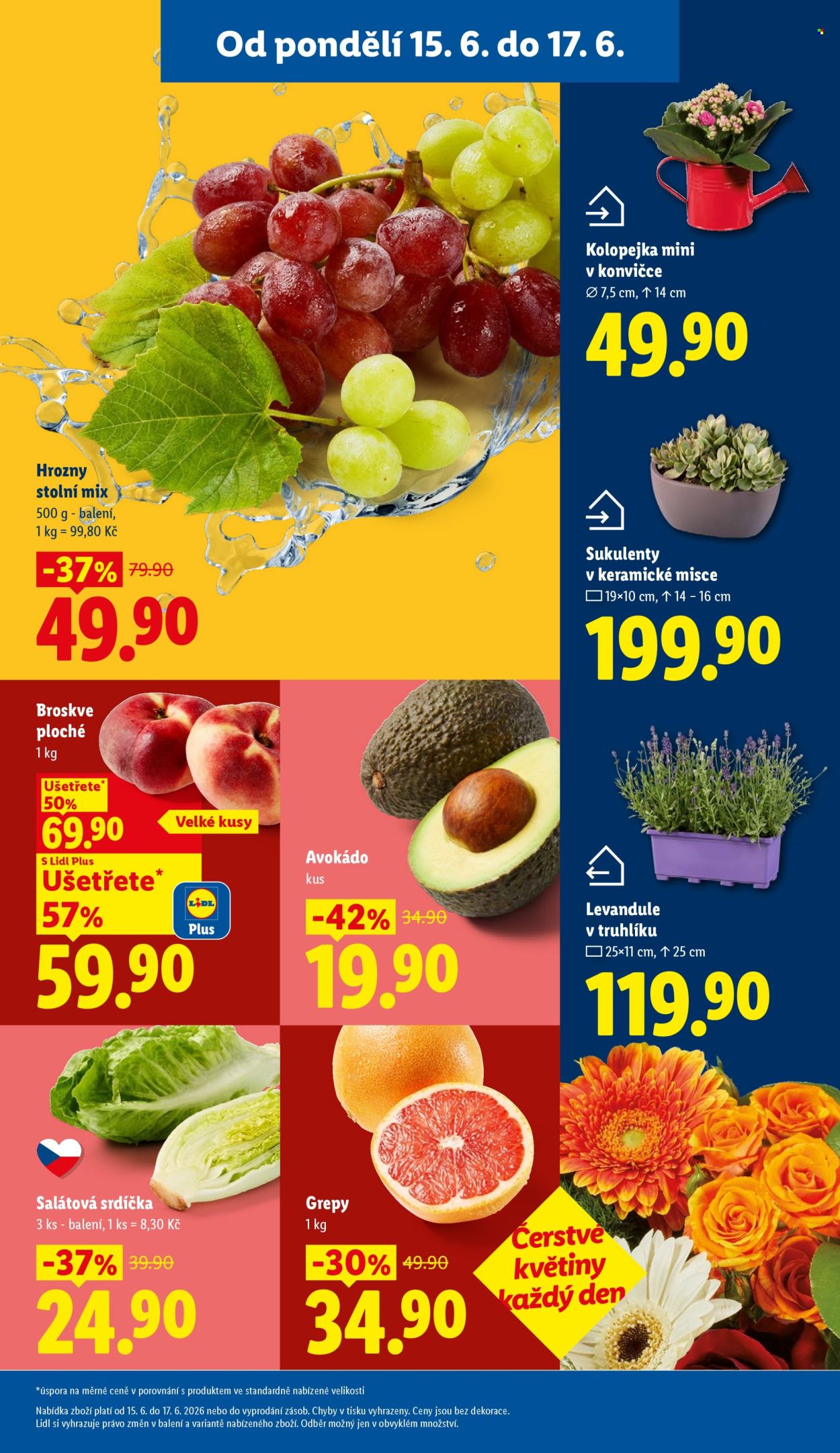 Leták Lidl - 15.6.2026 - 17.6.2026. Strana 11