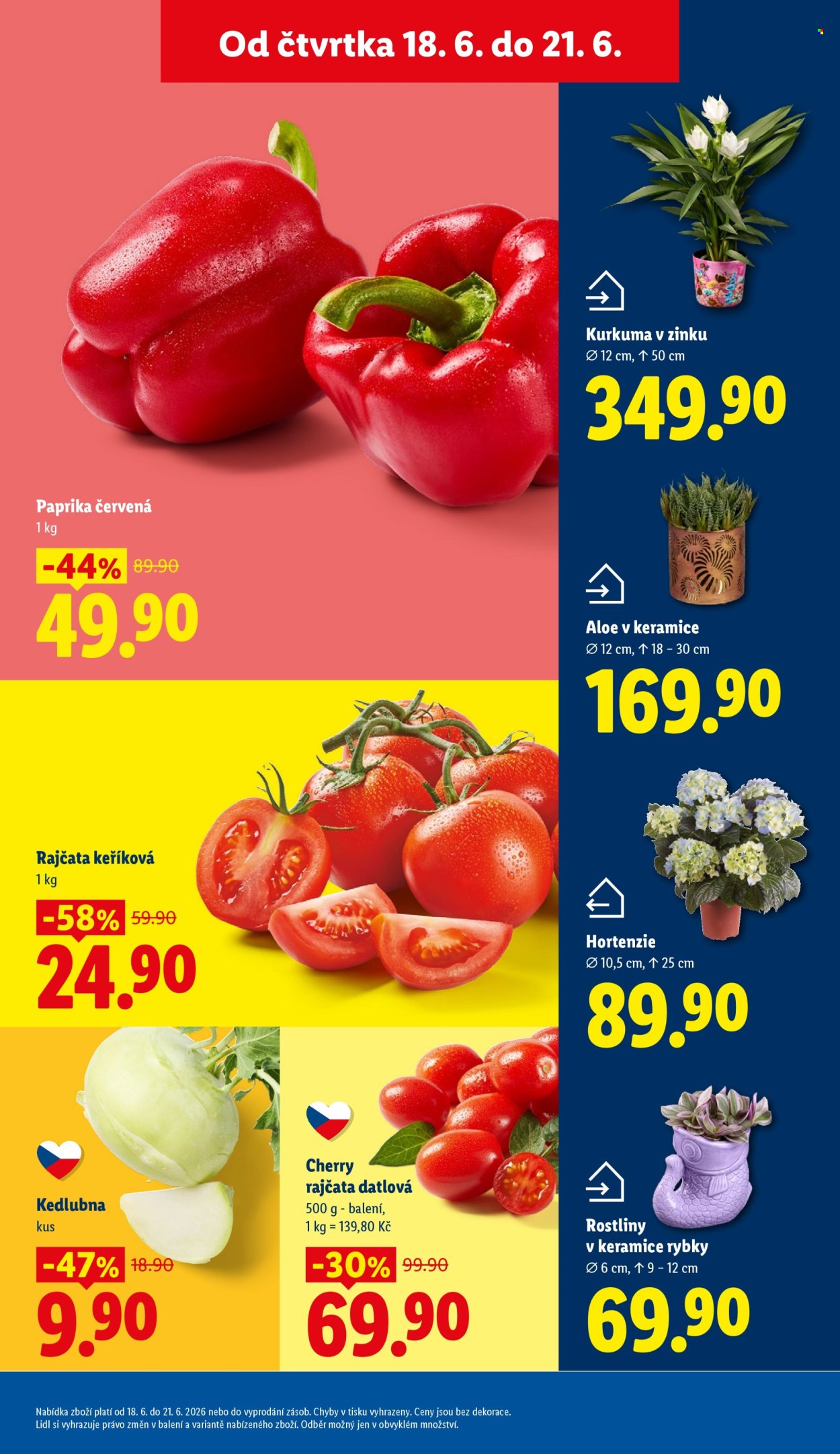 Leták Lidl - 18.6.2026 - 21.6.2026. Strana 9