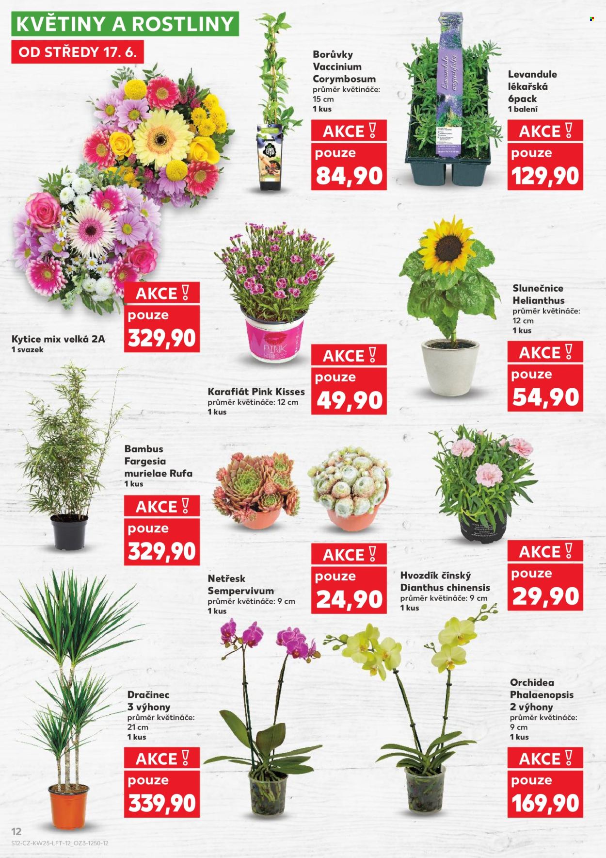 Leták Kaufland - 17.6.2026 - 23.6.2026. Strana 12
