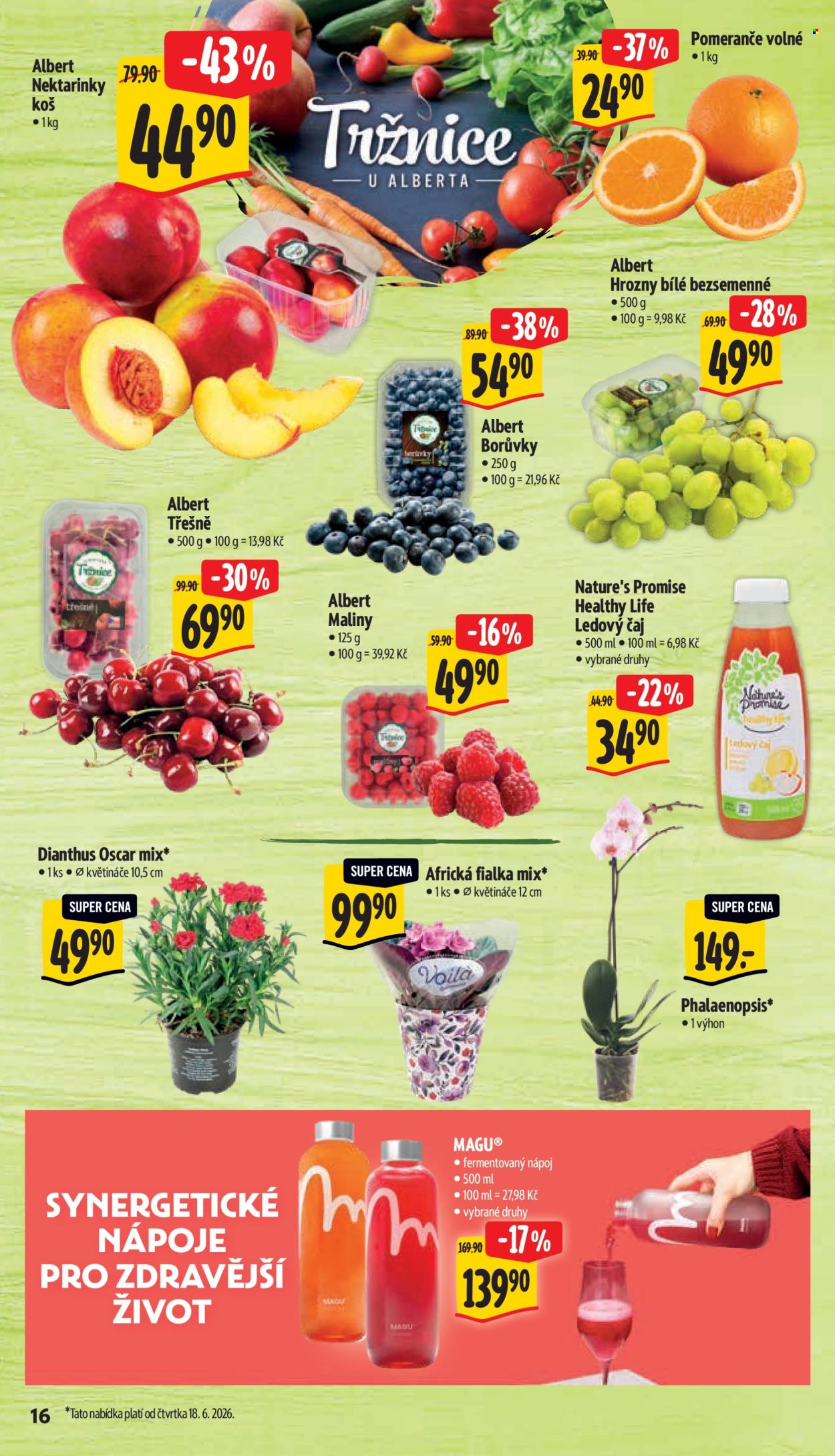 Leták Albert Supermarket - 17.6.2026 - 23.6.2026. Strana 24