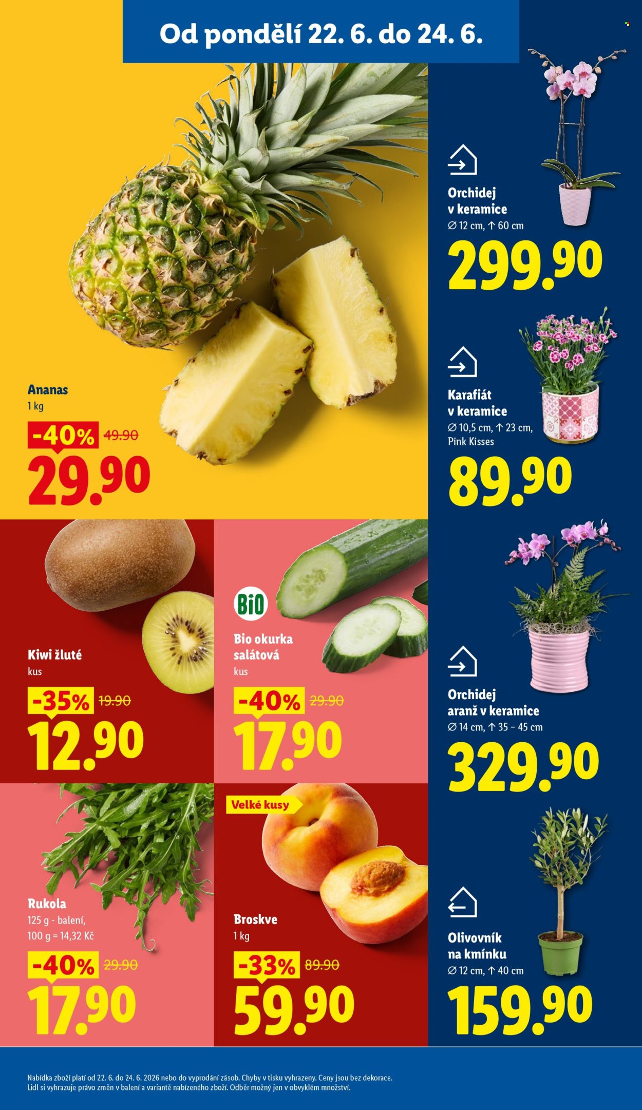 Leták Lidl - 22.6.2026 - 24.6.2026. Strana 9