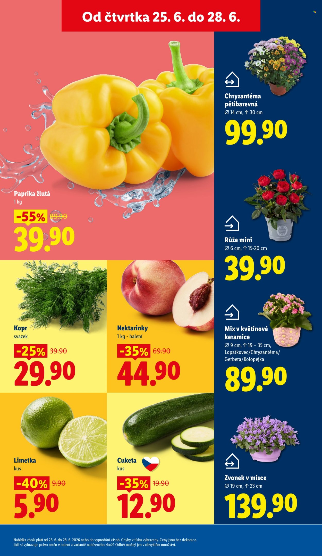 Leták Lidl - 25.6.2026 - 28.6.2026. Strana 9