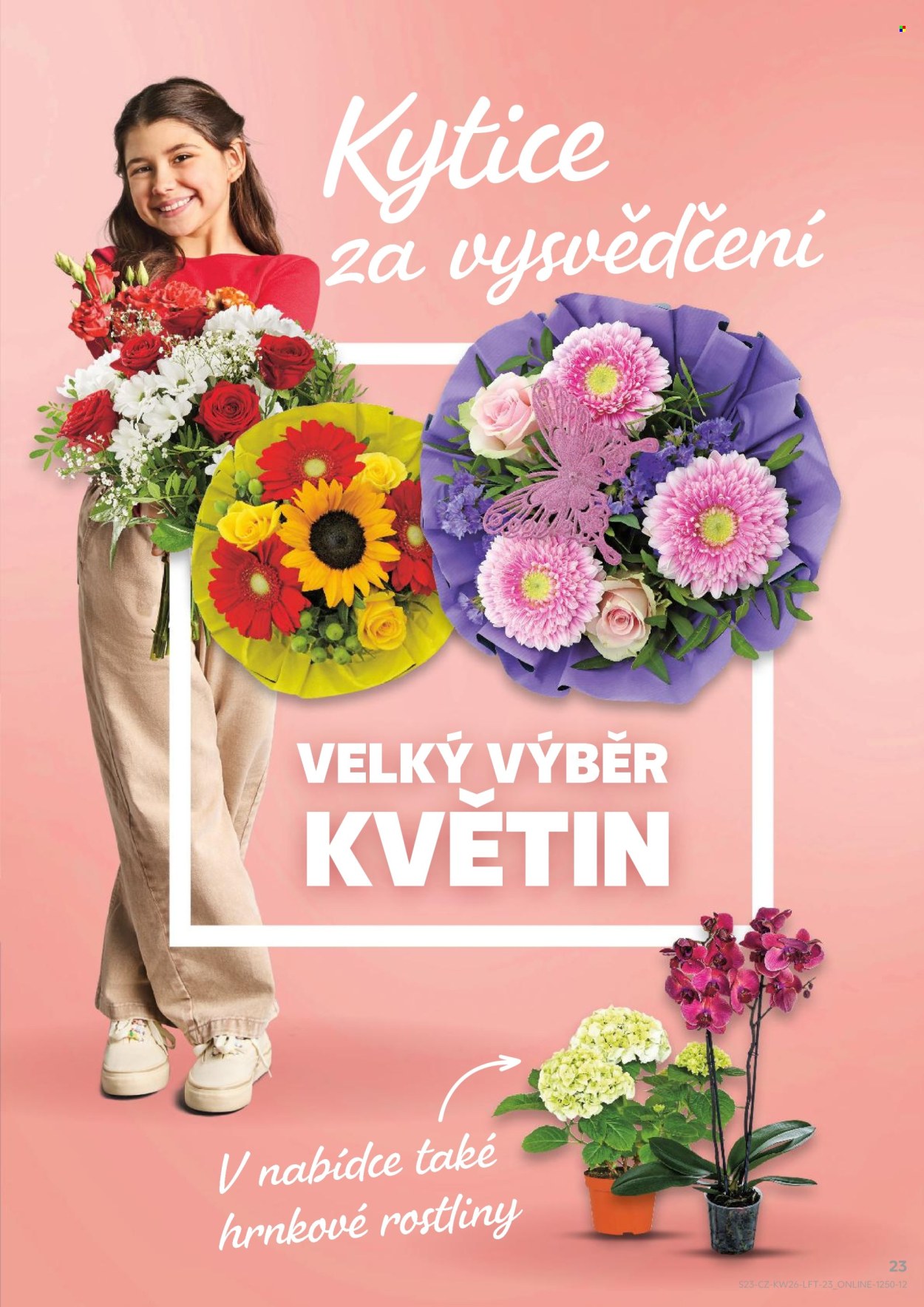 Leták Kaufland - 24.6.2026 - 30.6.2026. Strana 23