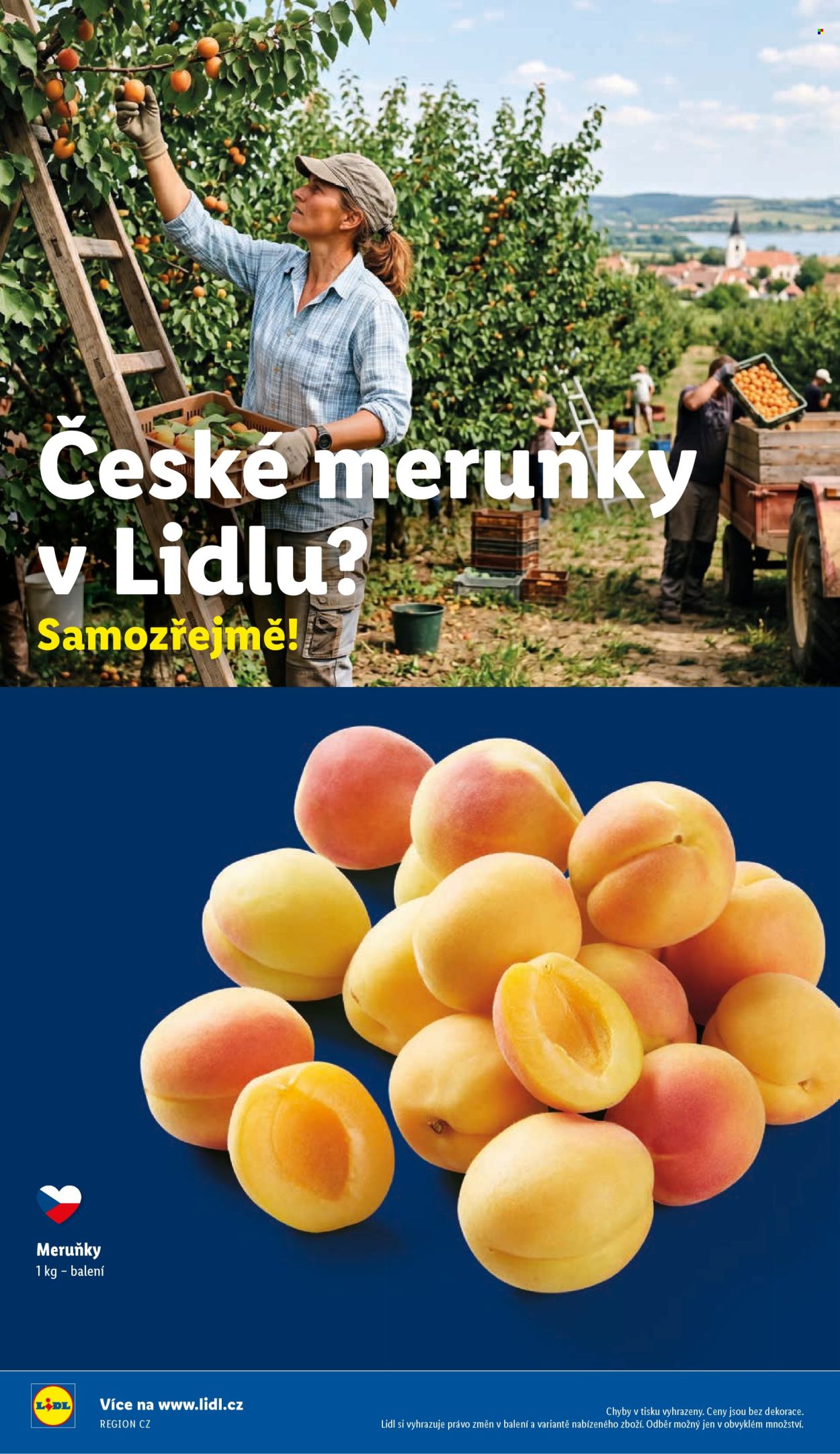 Leták Lidl - 29.6.2026 - 1.7.2026. Strana 54