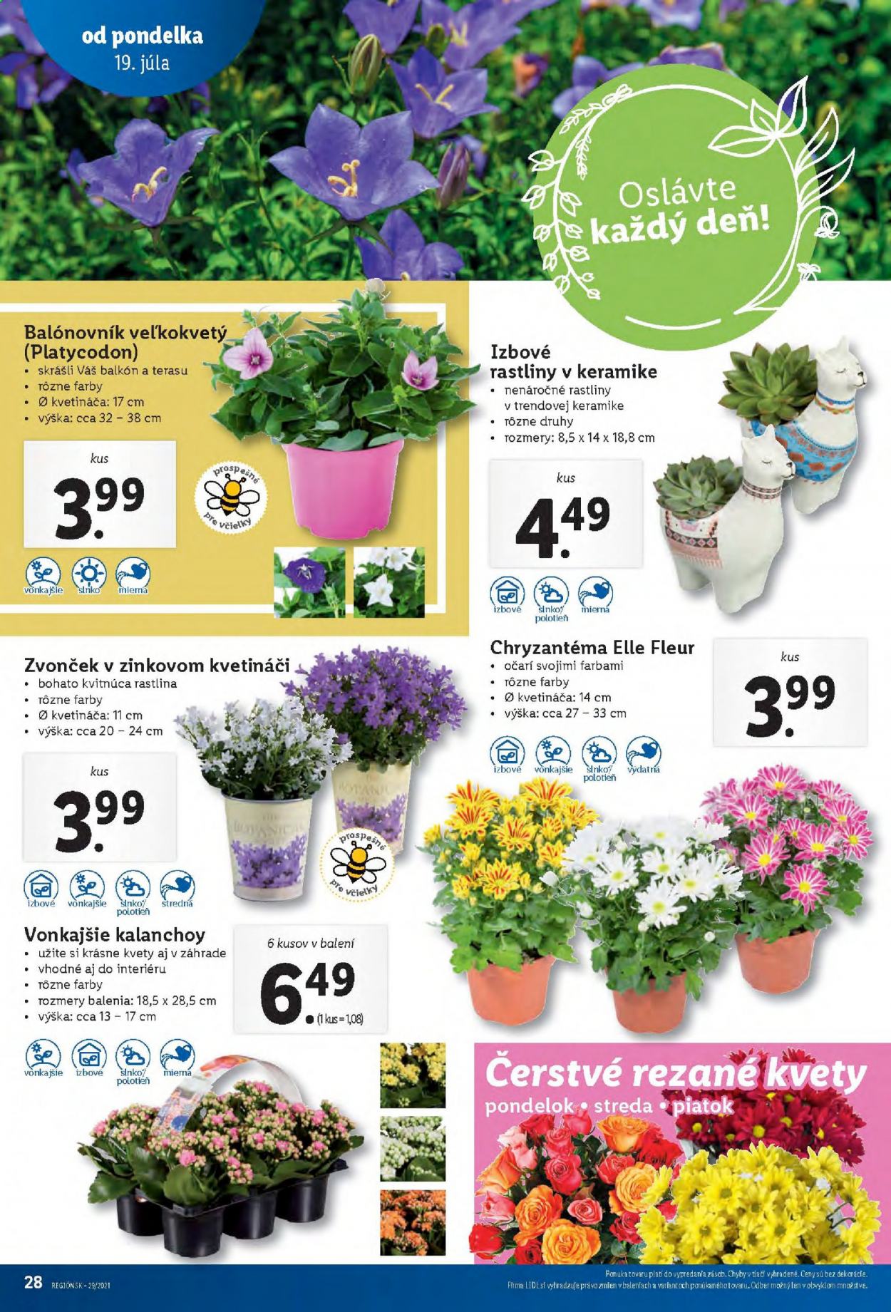 Leták Lidl - 19.7.2021 - 25.7.2021. Strana 25