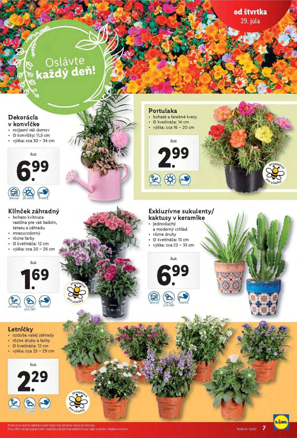 Leták Lidl - 29.7.2021 - 1.8.2021. Strana 7