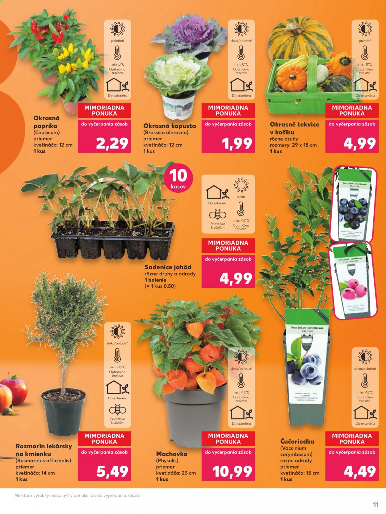 Leták Kaufland - 19.8.2021 - 14.9.2021. Strana 11