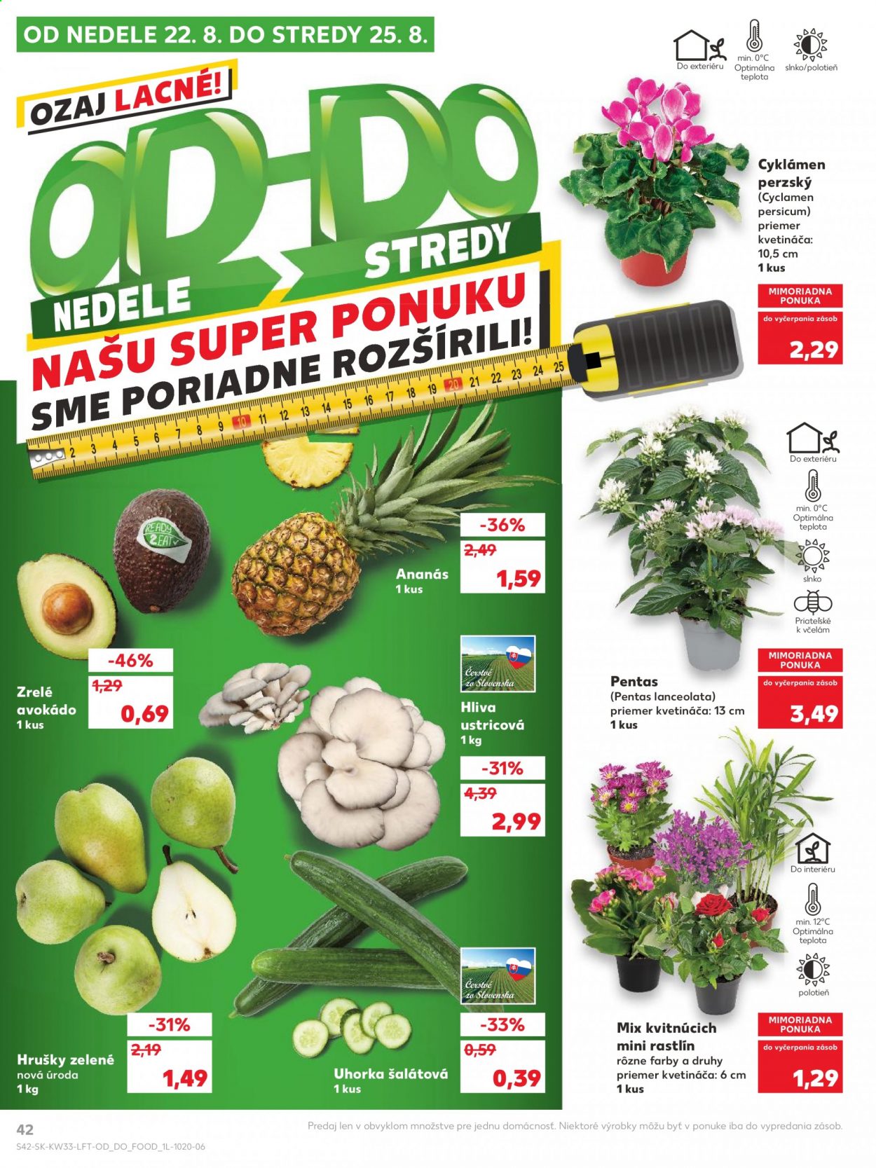 Leták Kaufland - 19.8.2021 - 25.8.2021. Strana 42