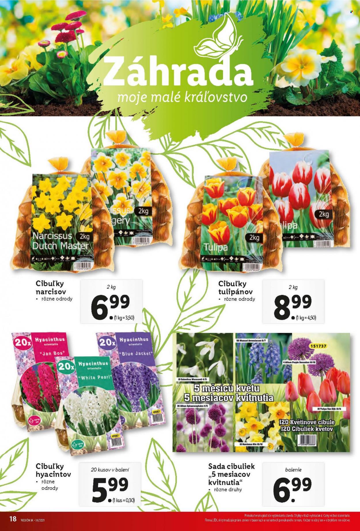 Leták Lidl - 9.9.2021 - 12.9.2021. Strana 20