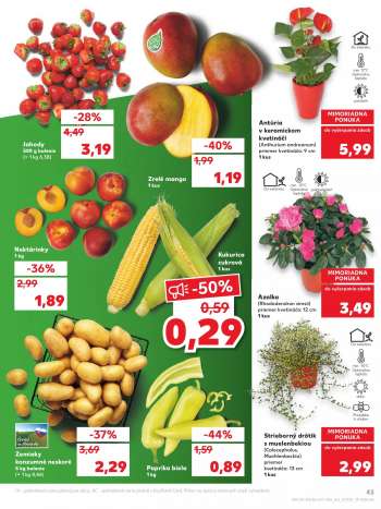 thumbnail - Paprika biela 1 kg