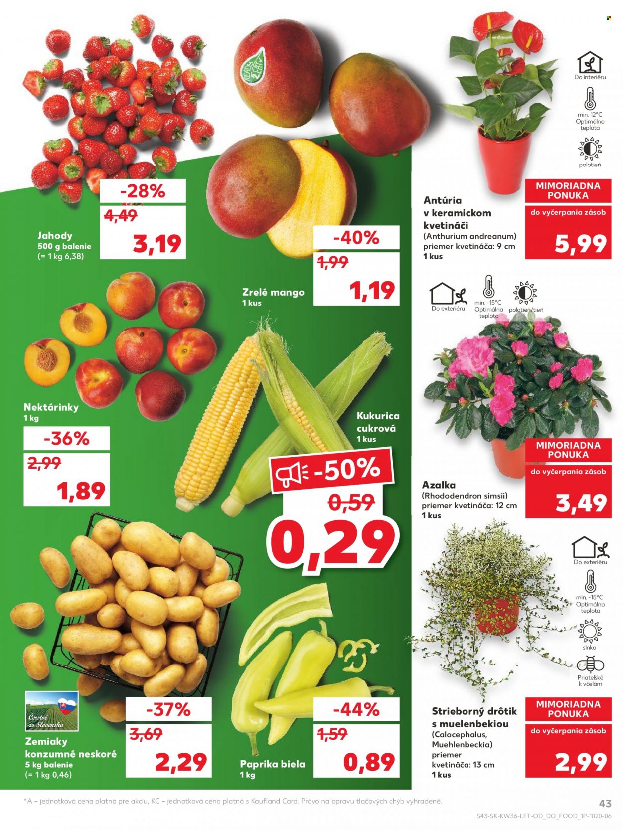 Leták Kaufland - 9.9.2021 - 14.9.2021. Strana 43