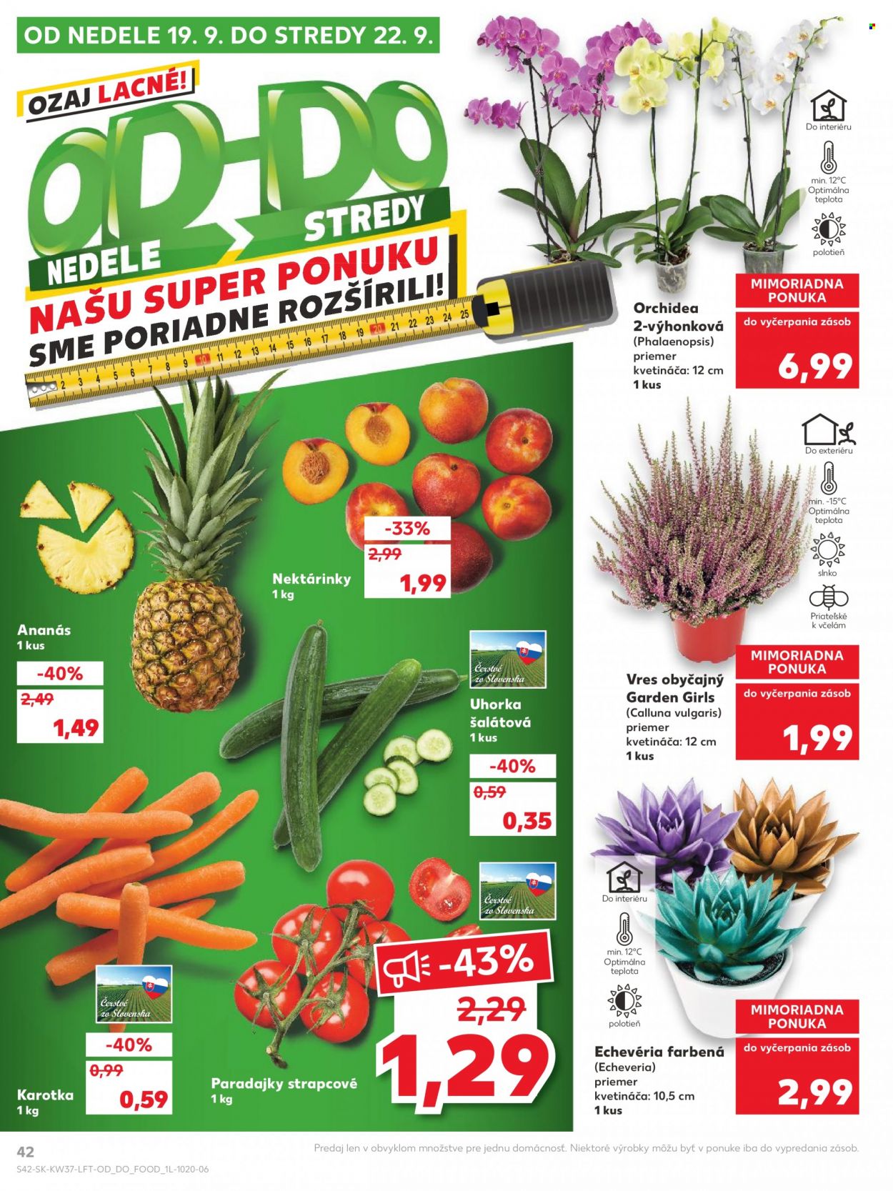 Leták Kaufland - 16.9.2021 - 22.9.2021. Strana 42