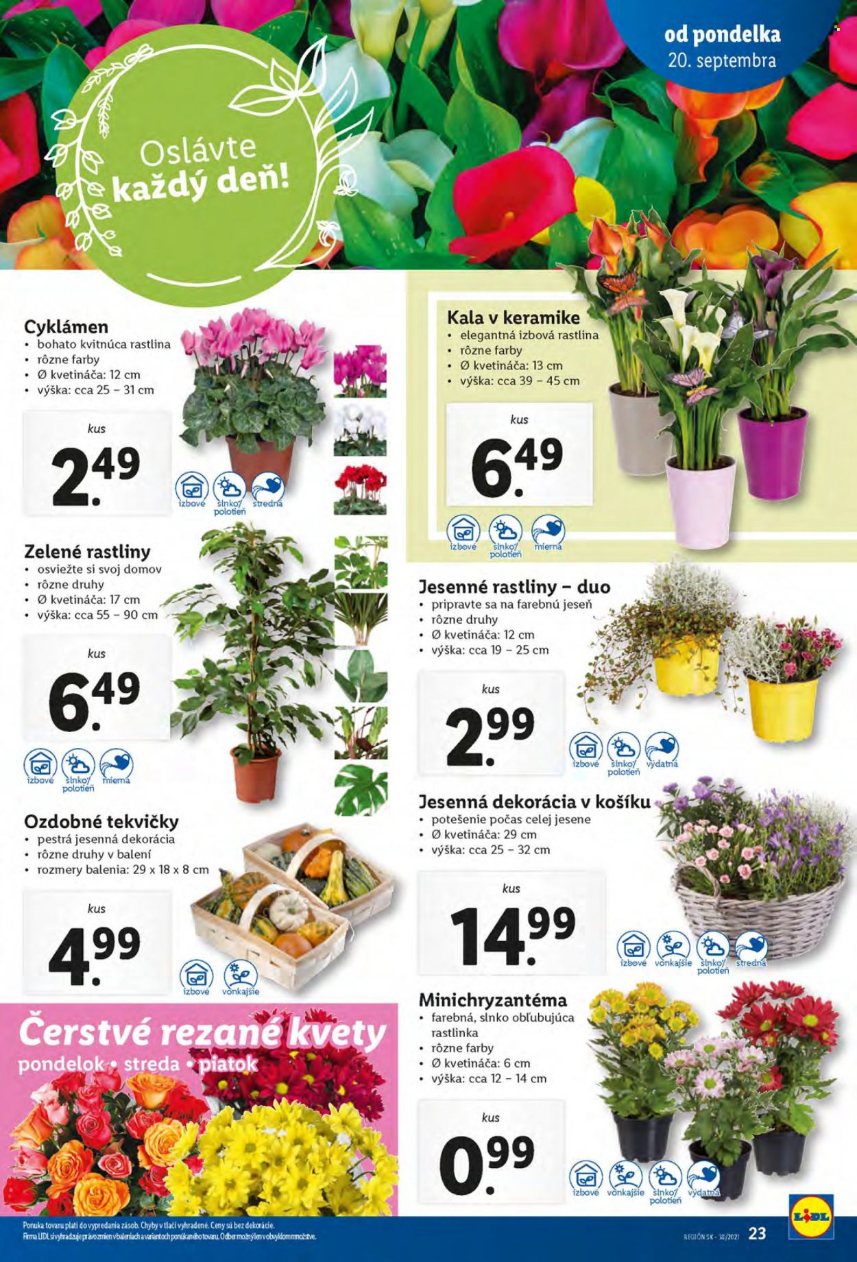 Leták Lidl - 20.9.2021 - 26.9.2021. Strana 23